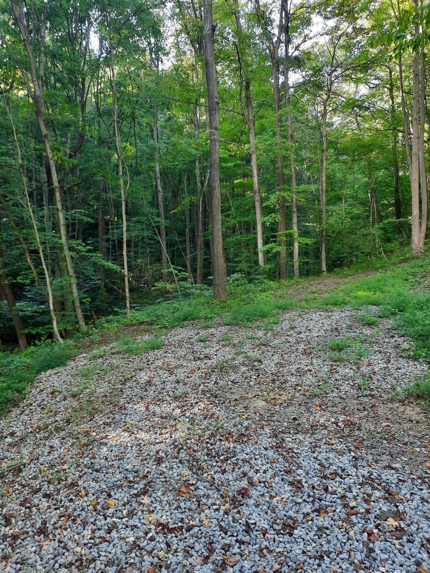 0 Auerville Road, Bainbridge, OH 44023