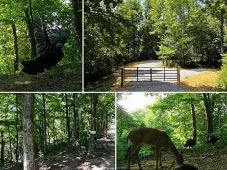 32964 Parkinson Road #(Tract 6 at Titus), Langsville, OH 45741