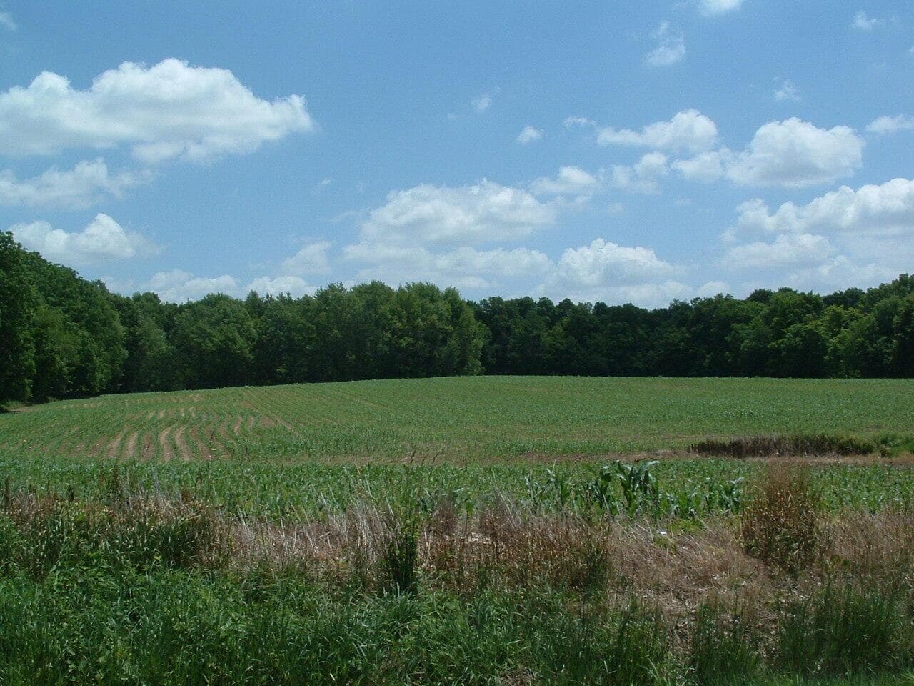 0 Clover Valley Road NW, Johnstown, OH 43031