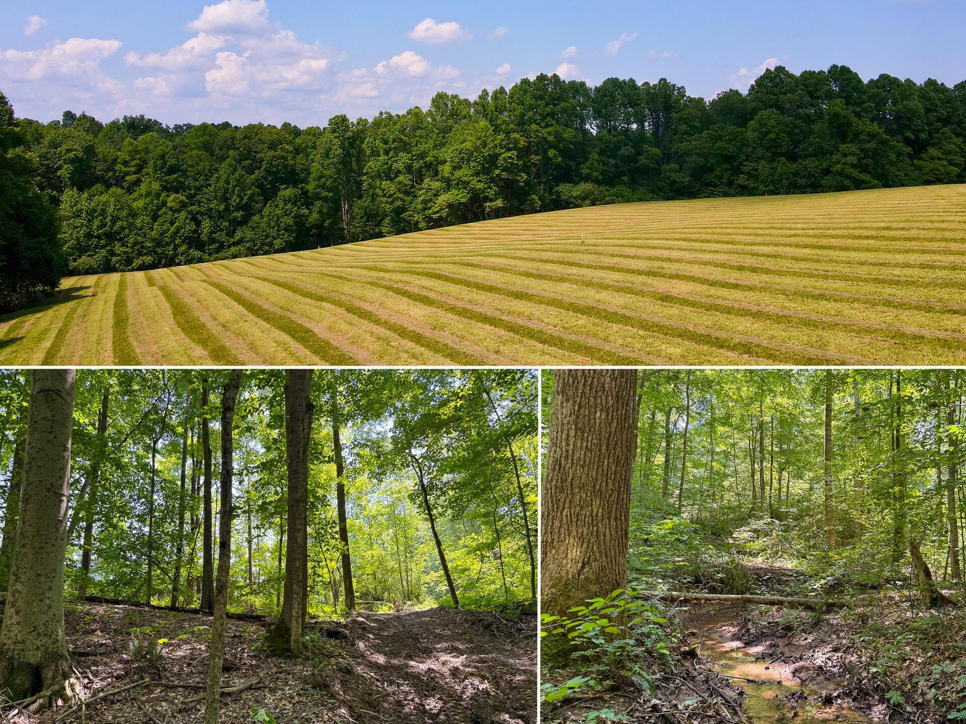 0 Wolf Hill Road #(Tract 3 Wolf Hill), McArthur, OH