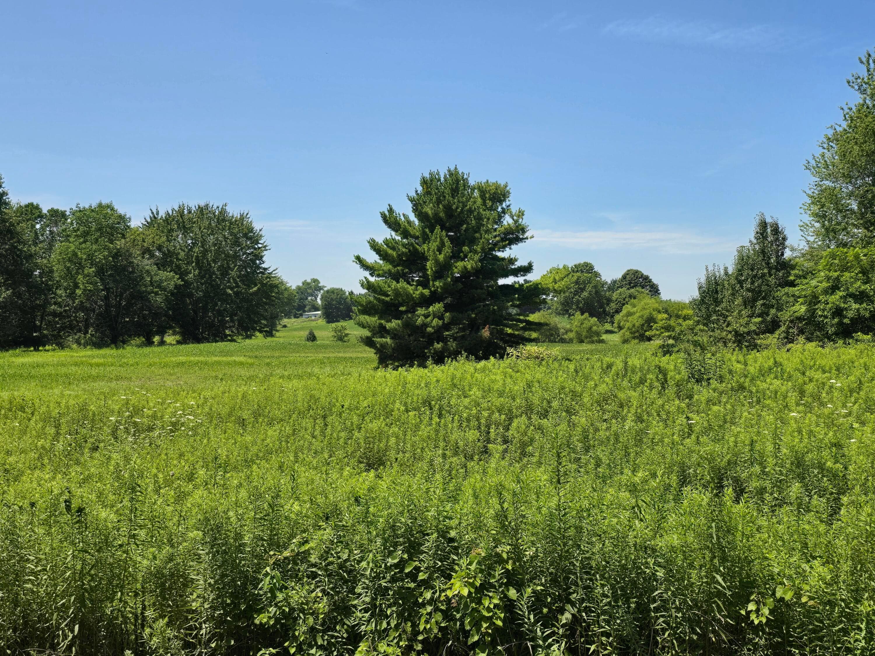 0 Tschopp Road NE #Lot 17, Lancaster, OH 43130