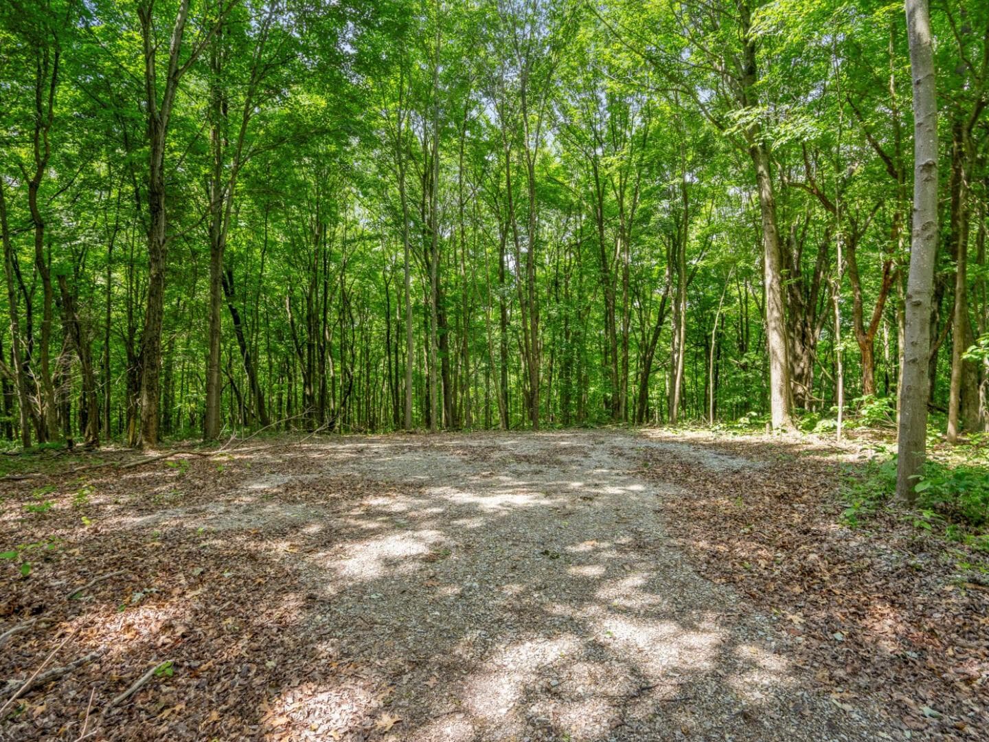 0 Potts Hill Rd, Bainbridge, OH 45612