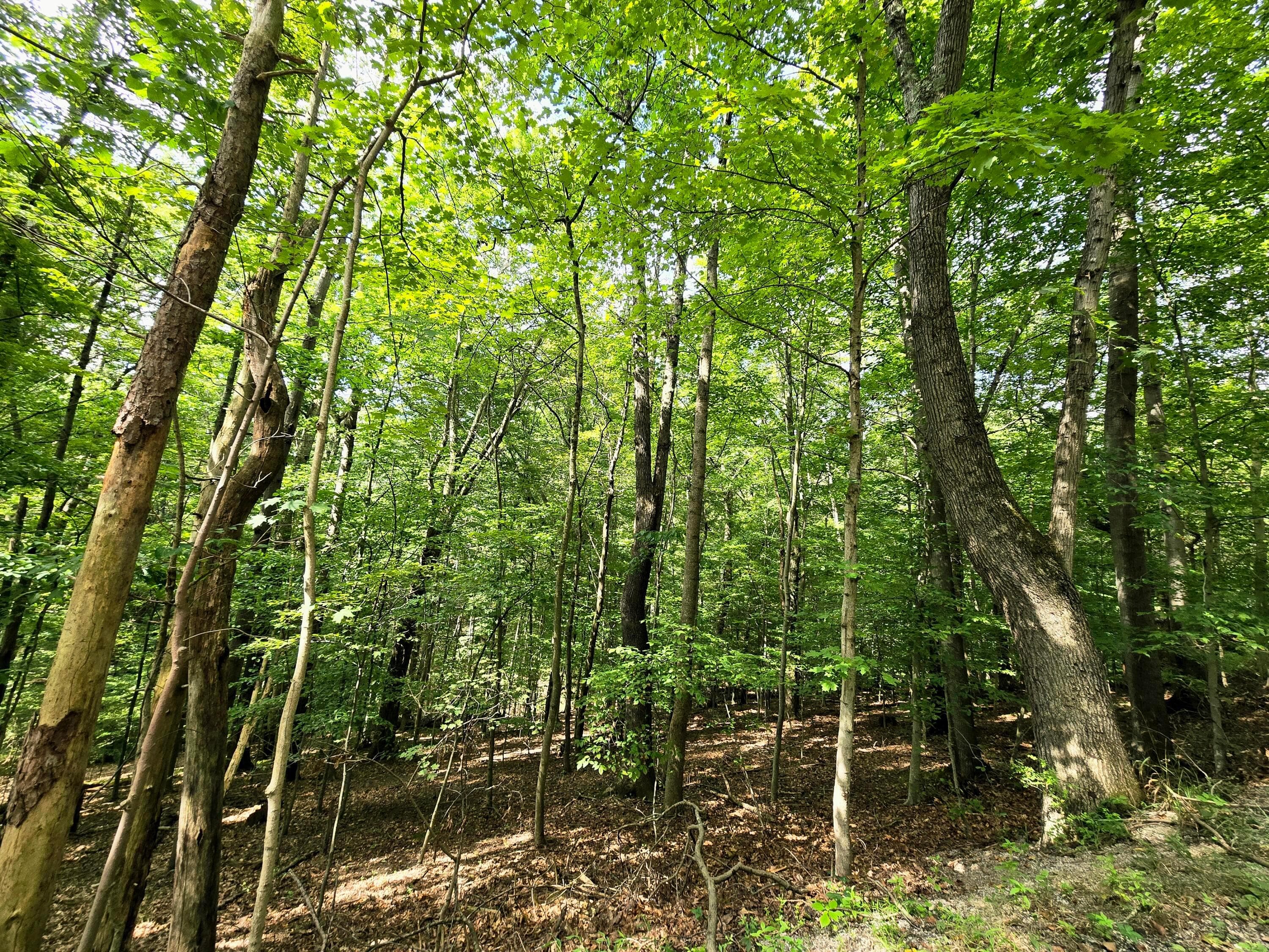 1756 Mohican Lane, Hide A Way Hills, OH 43107