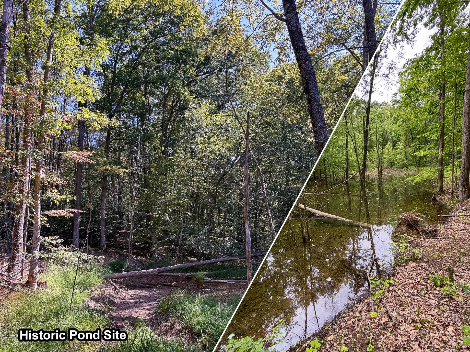 0 Wolf Hill Road #(Tract 6 Wolf Hill), McArthur, OH 45651