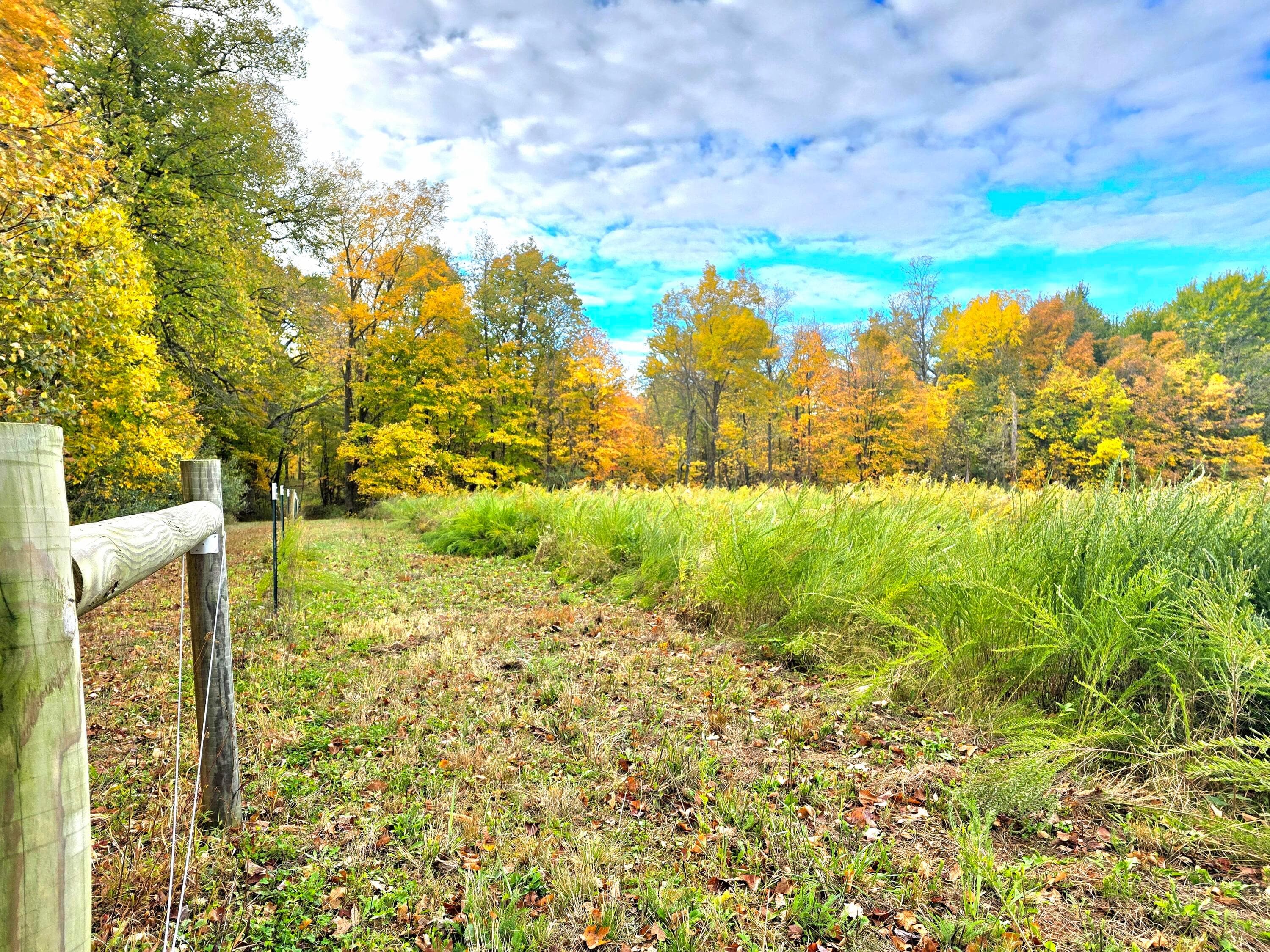 6054 Township Road 183, Cardington, OH 43315