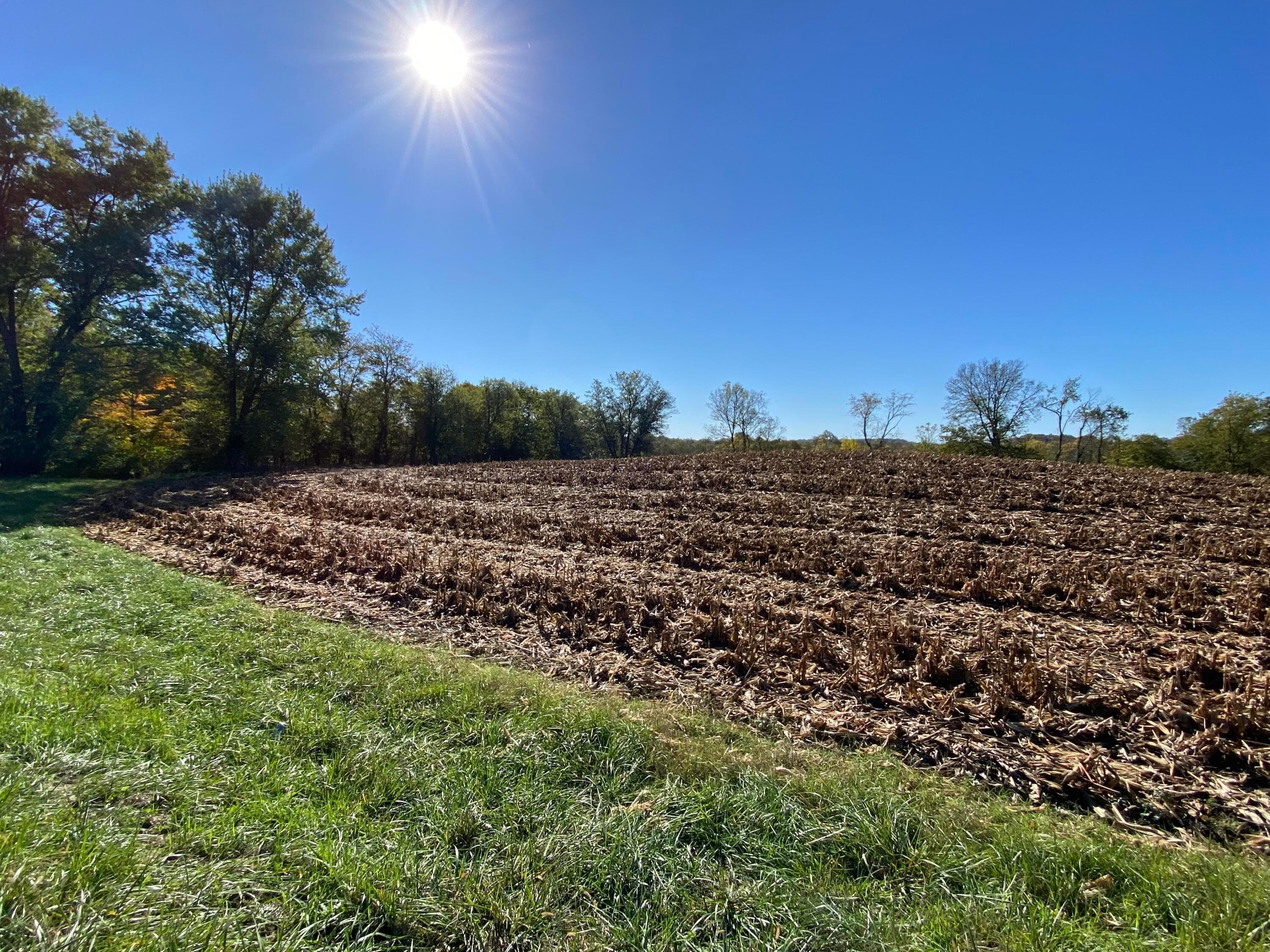 1862 Hallie Lane, Granville, OH 43023