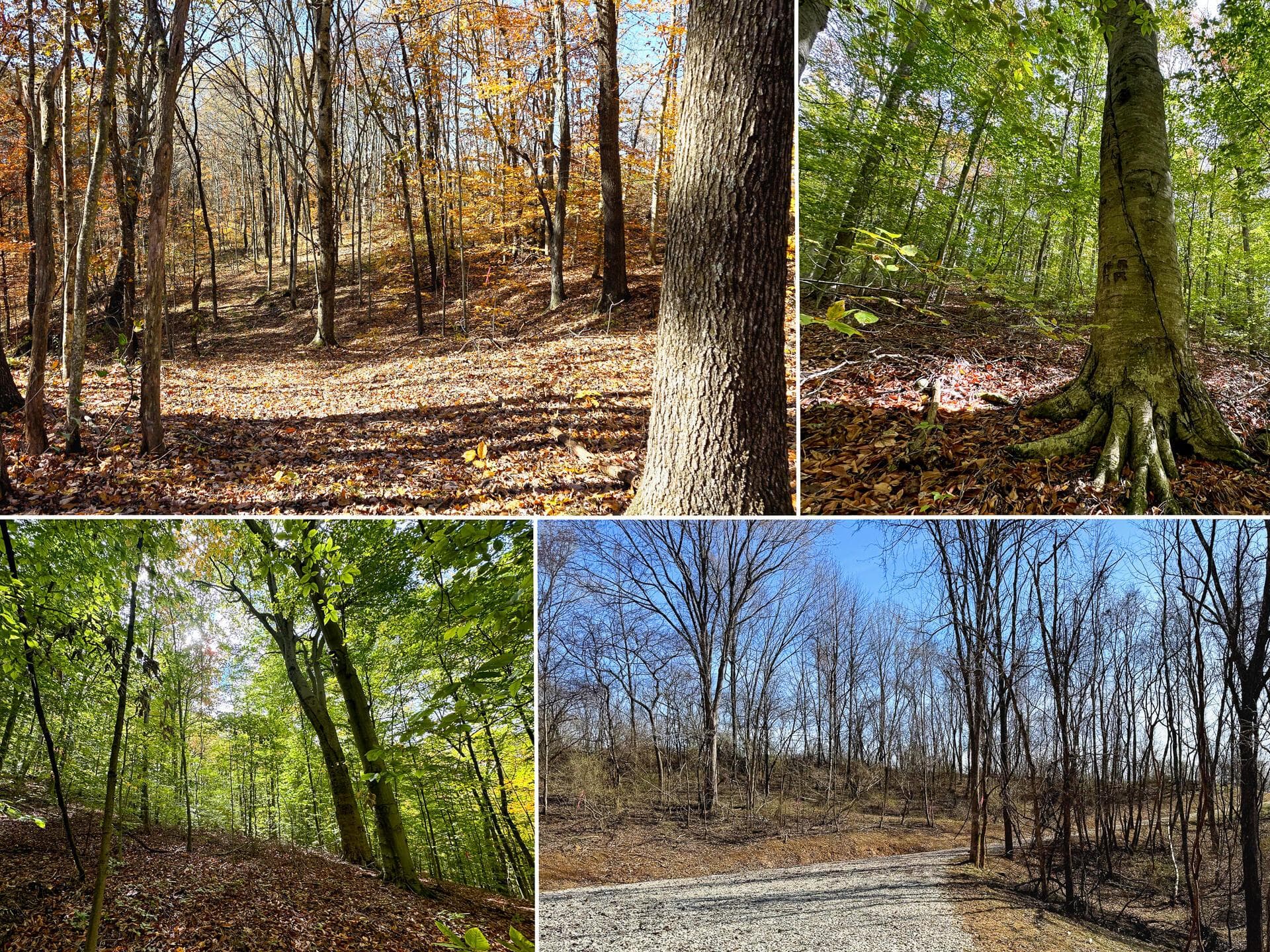 7447 Township Rd 215-A SE #(Tract 6 at Shawnee Woods), Corning, OH 43730