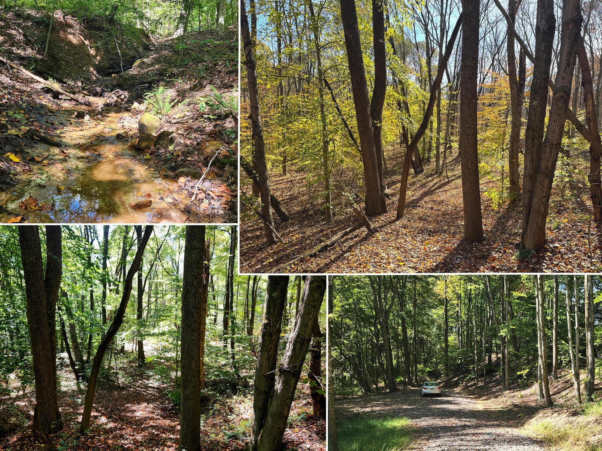 929 Poplar Ridge Road #(Ponds Poplar Ridge Tract 14), Gallipolis, OH 45631