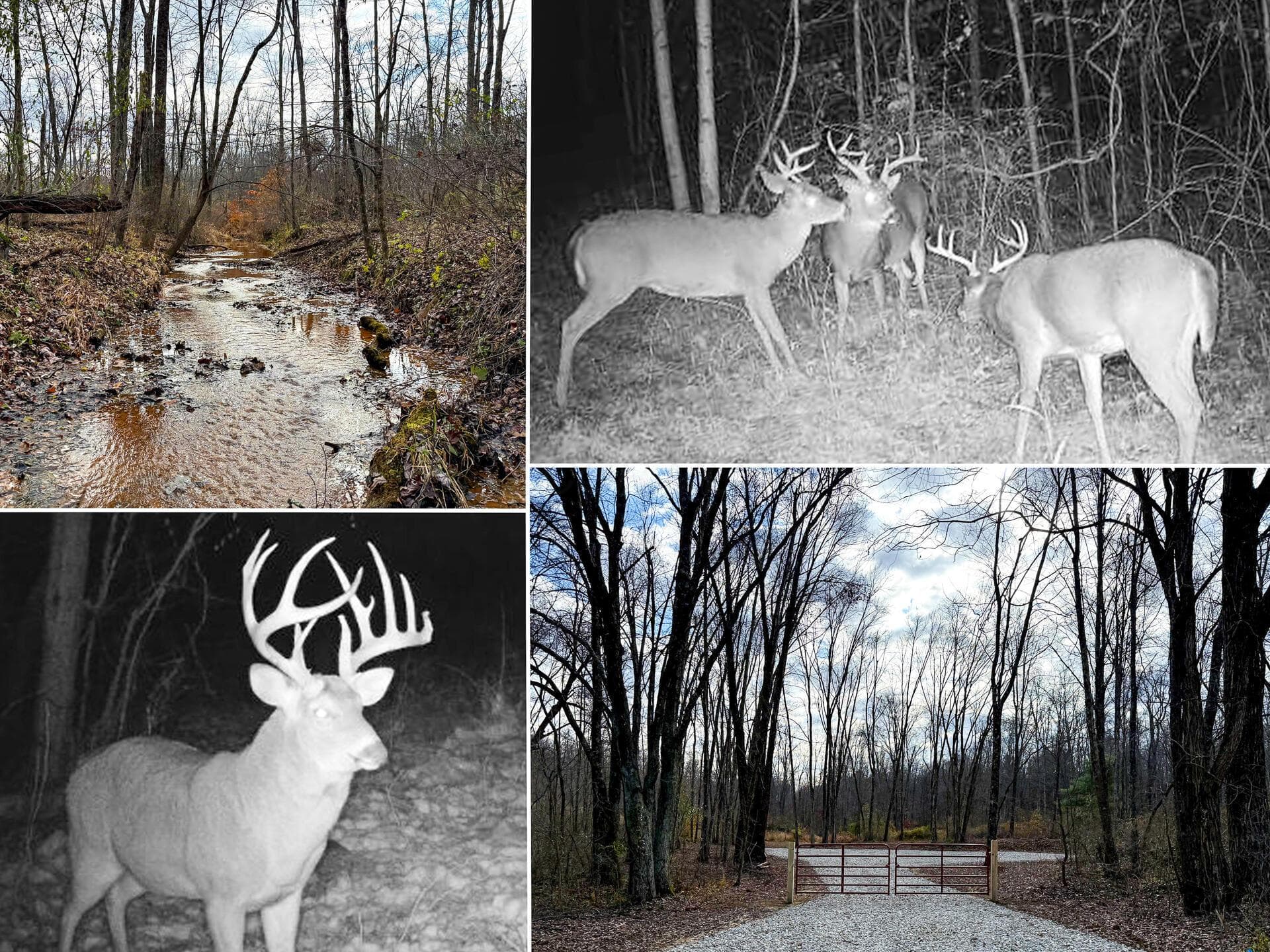0 Dutch Ridge Road #(Woods Turkey Run Tract 4), New Lexington, OH 43764