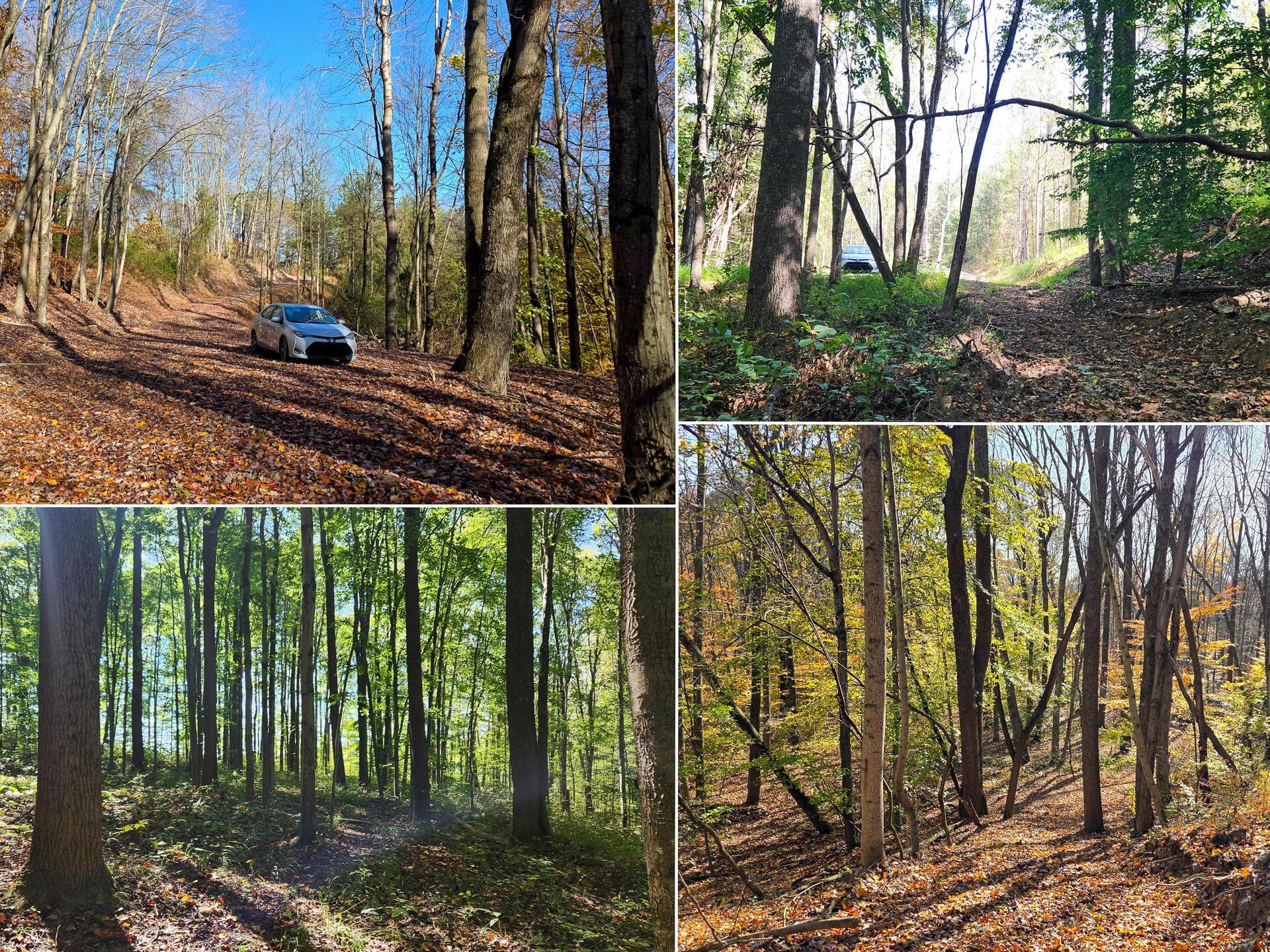 871 Poplar Ridge Road #(Ponds Poplar Ridge Tract 13), Gallipolis, OH 45631