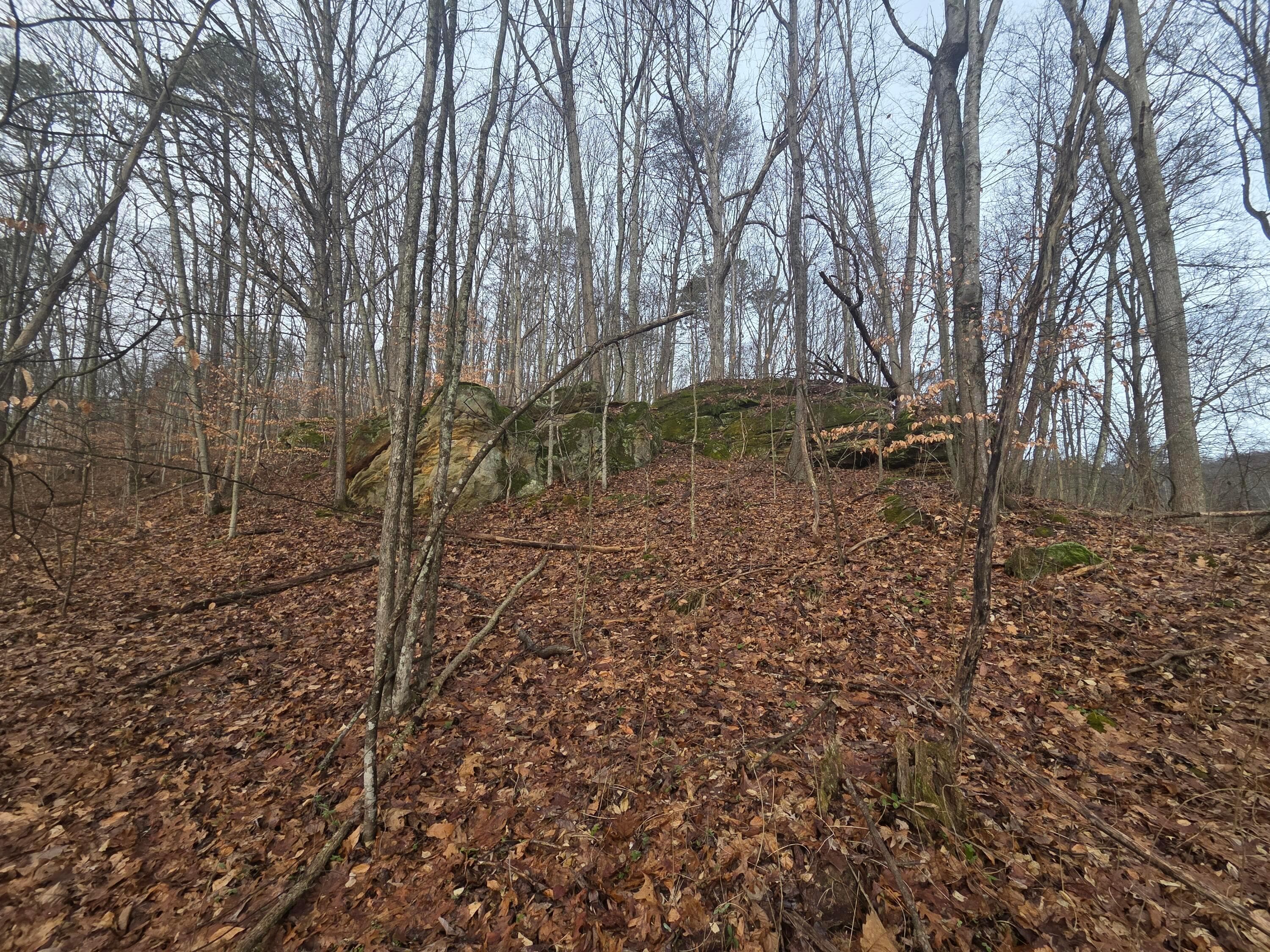 12001 W Buck Run, Rockbridge, OH 43149