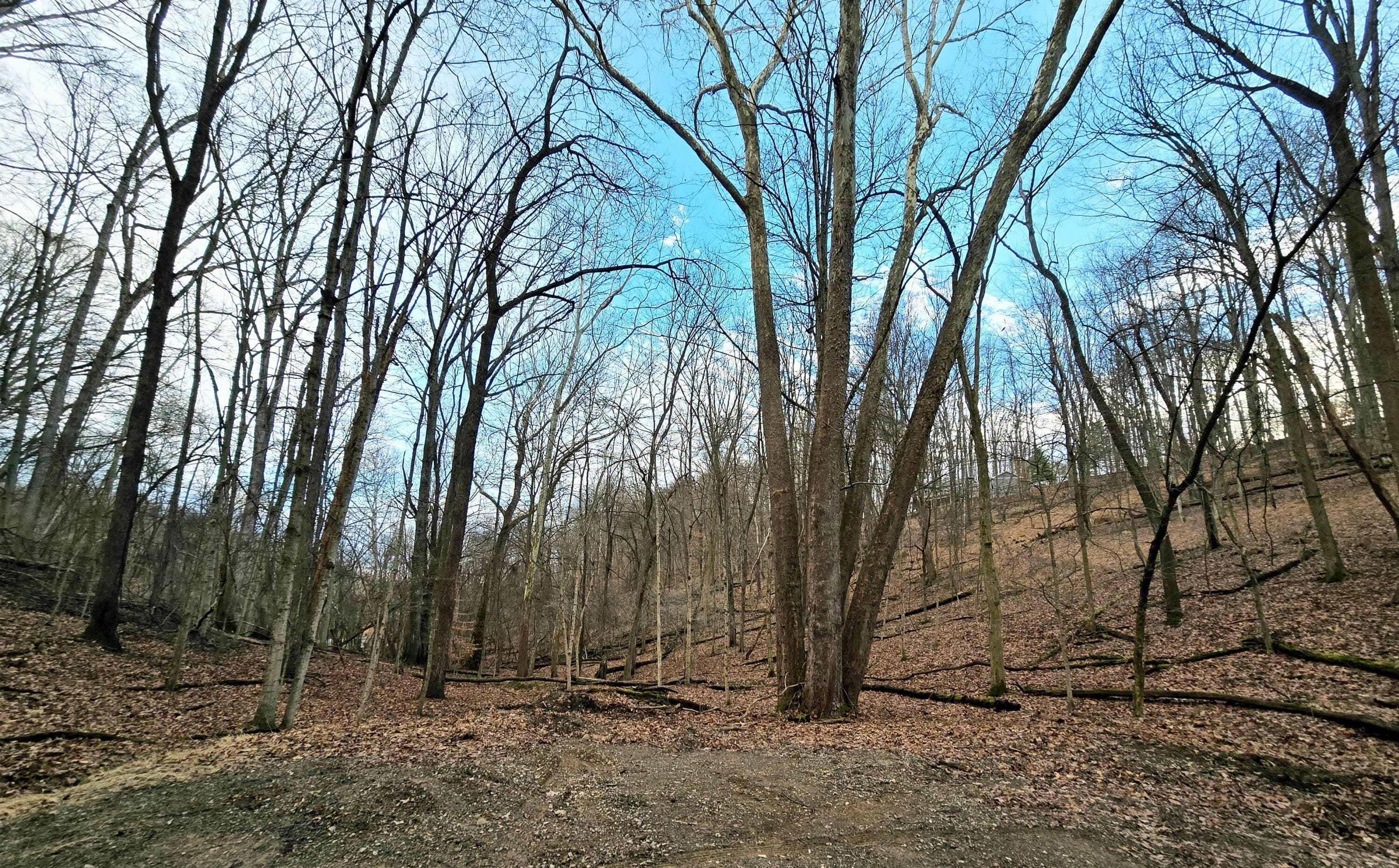 1767 Mohican Court, Hide A Way Hills, OH 43107