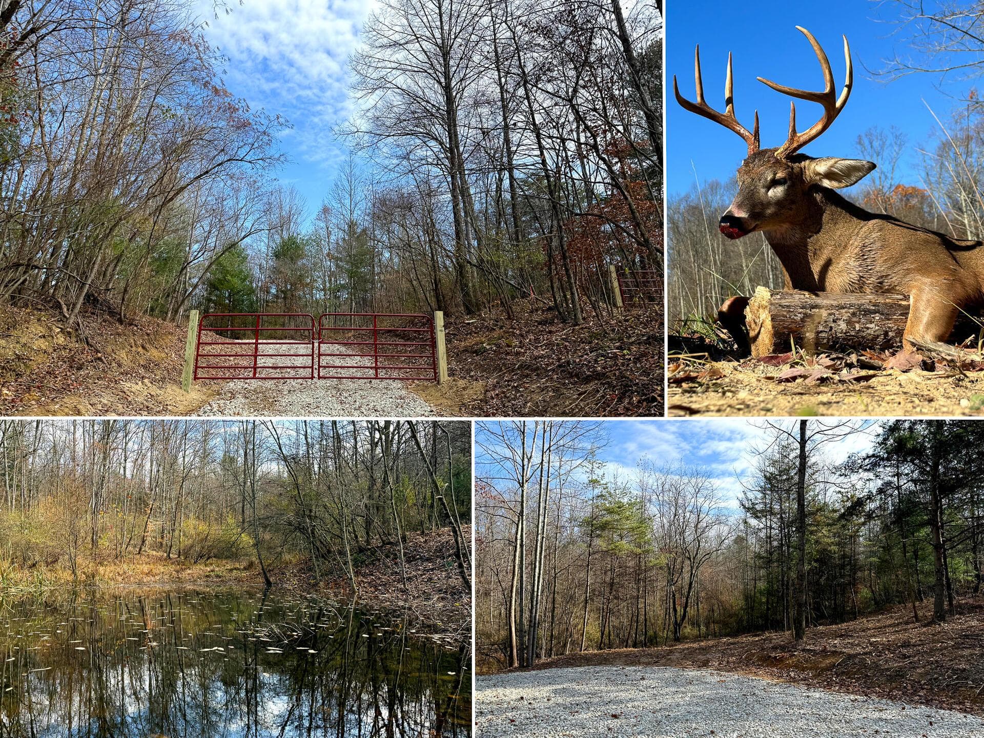 0 Dutch Ridge Road #(Woods Turkey Run Tract 2), New Lexington, OH 43764