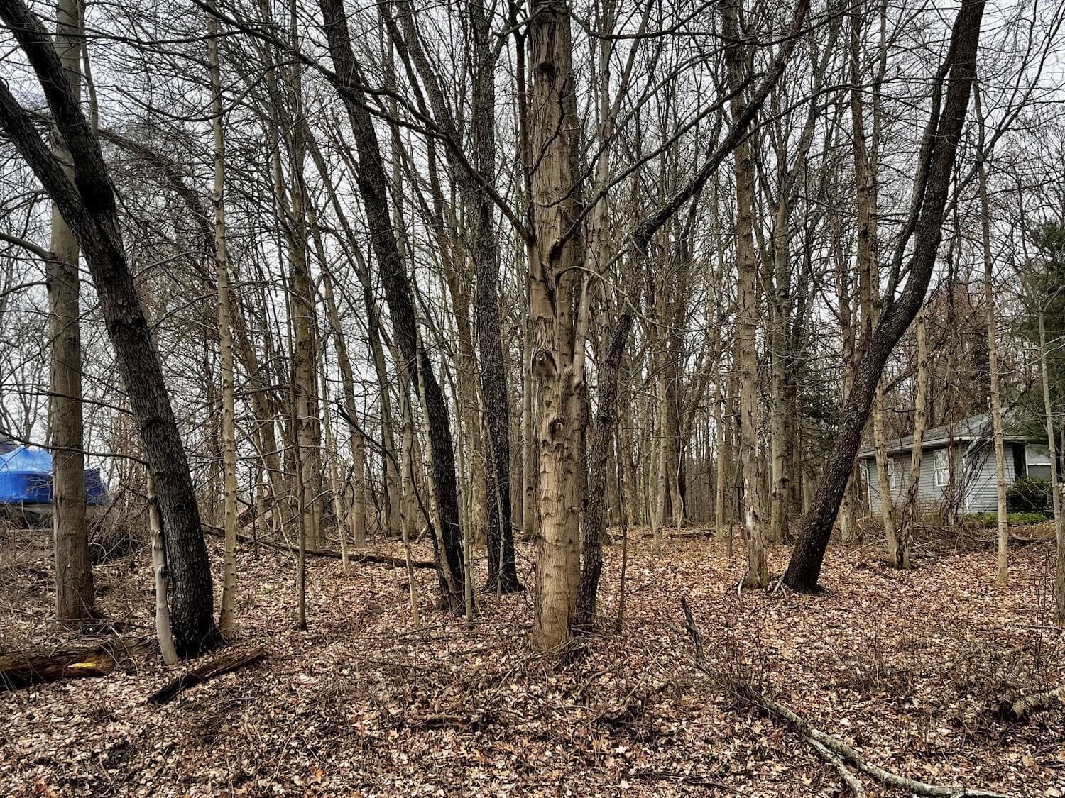 1221 Apple Valley Drive, Howard, OH 43028