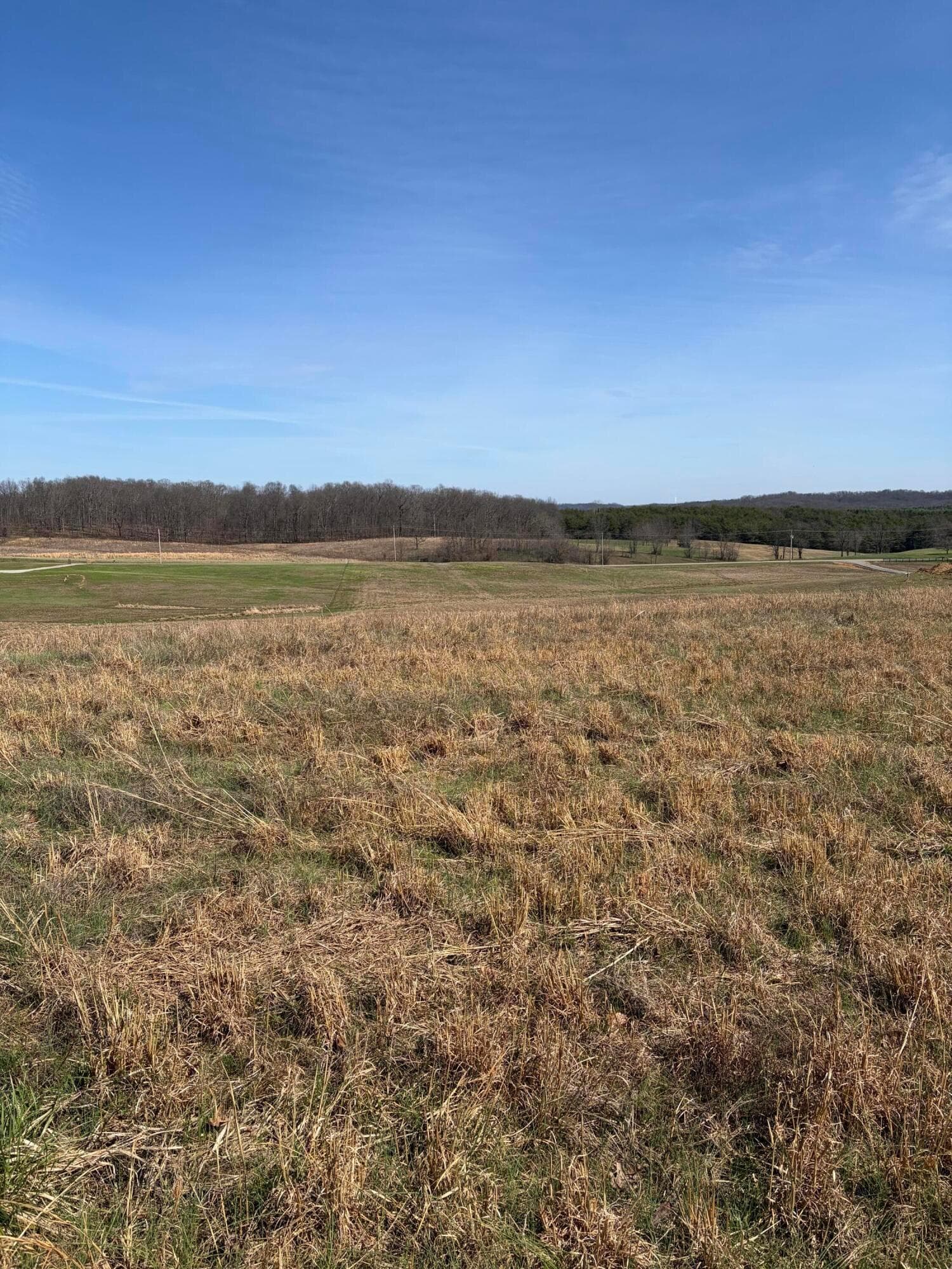 Lot 2- 0 Salem School Lot Road, Langsville, OH 45741
