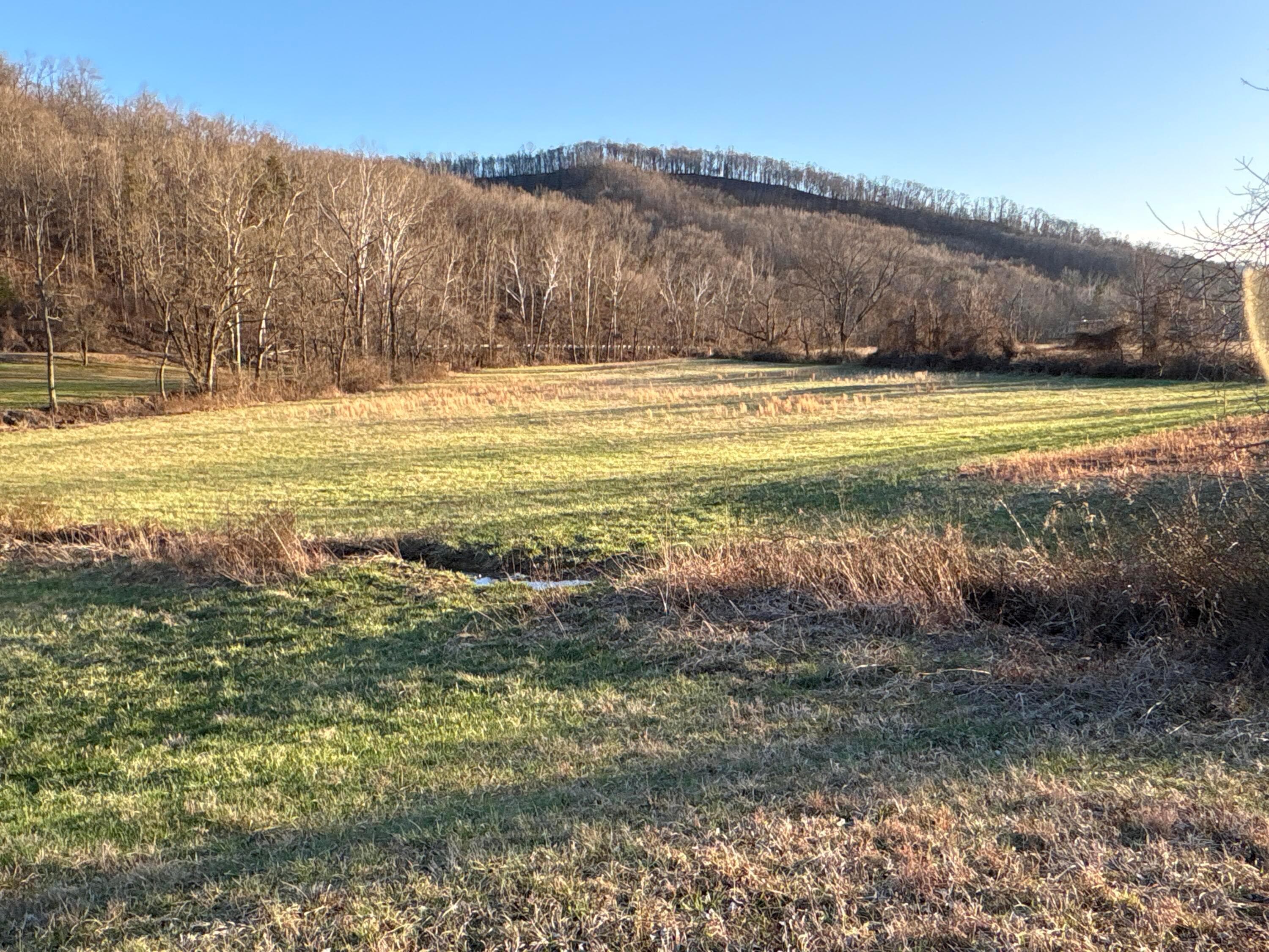 0 Millers Run-Fallen Timber Road, Lucasville, OH 45648