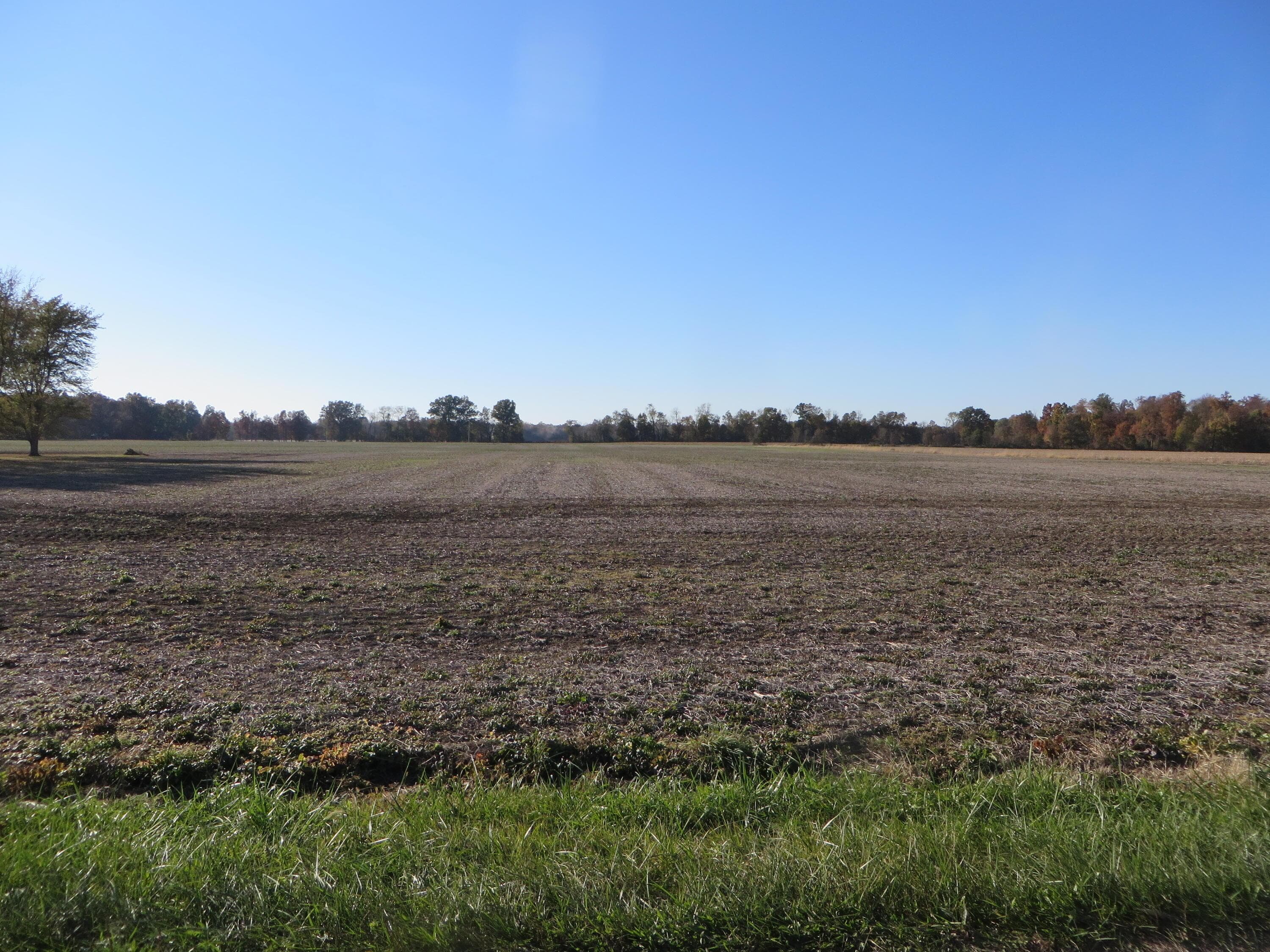 0 Longshore Road, Sunbury, OH 43074