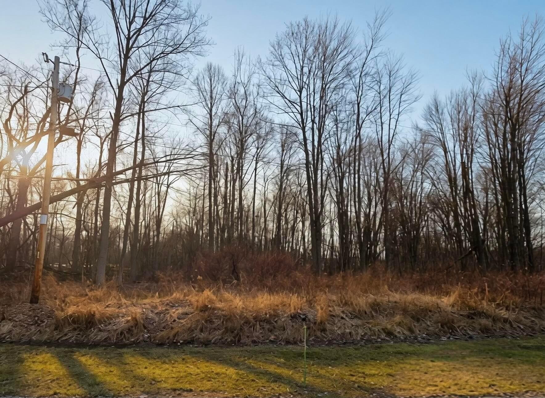 7326 State Route 19 #Unit 7, Lot 310, Mount Gilead, OH 43338