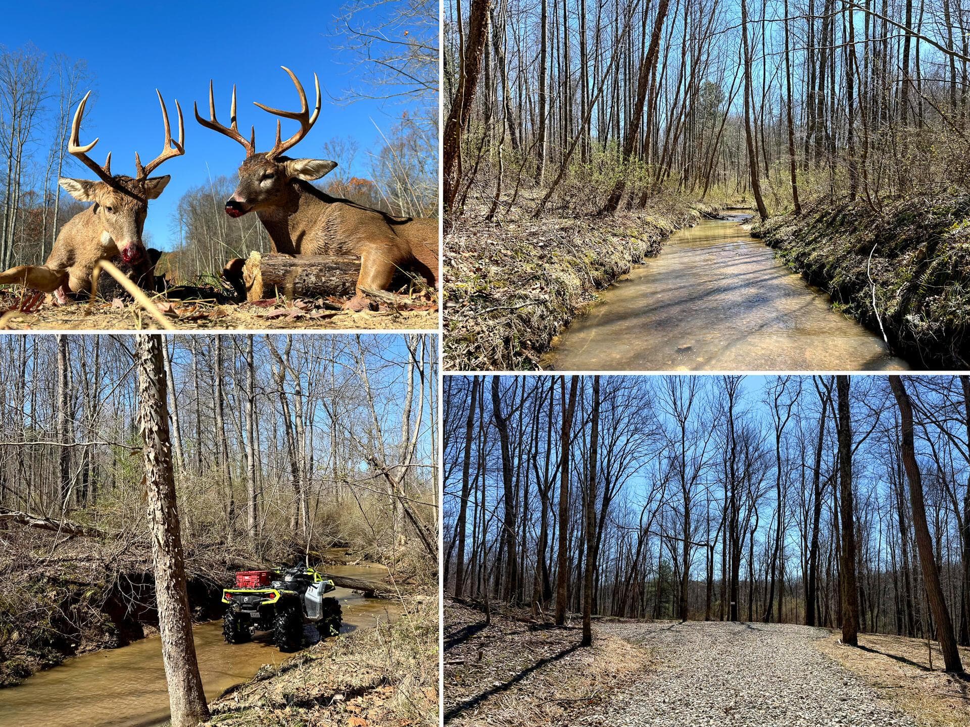 0 Dutch Ridge Road #(Woods Turkey Run Tract 5), New Lexington, OH 43764