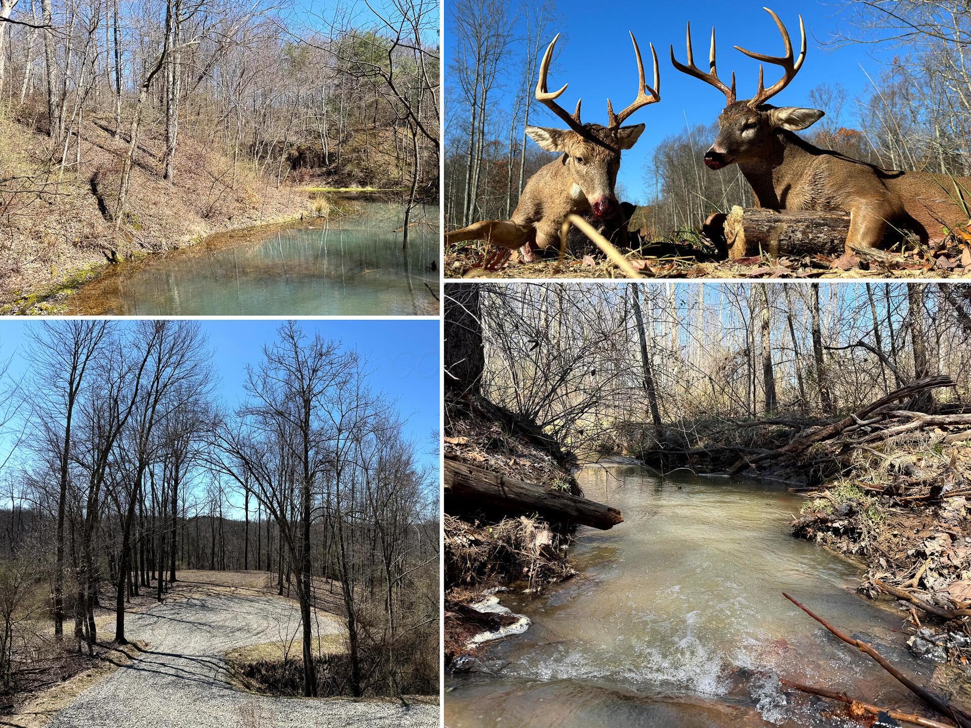 0 Dutch Ridge Road #(Woods Turkey Run Tract 6), New Lexington, OH 43764