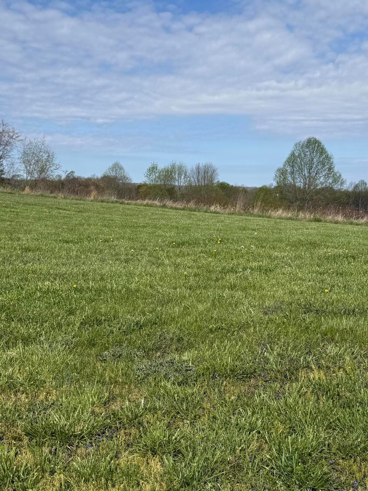 3233 Tick Ridge Road, Wheelersburg, OH 45694