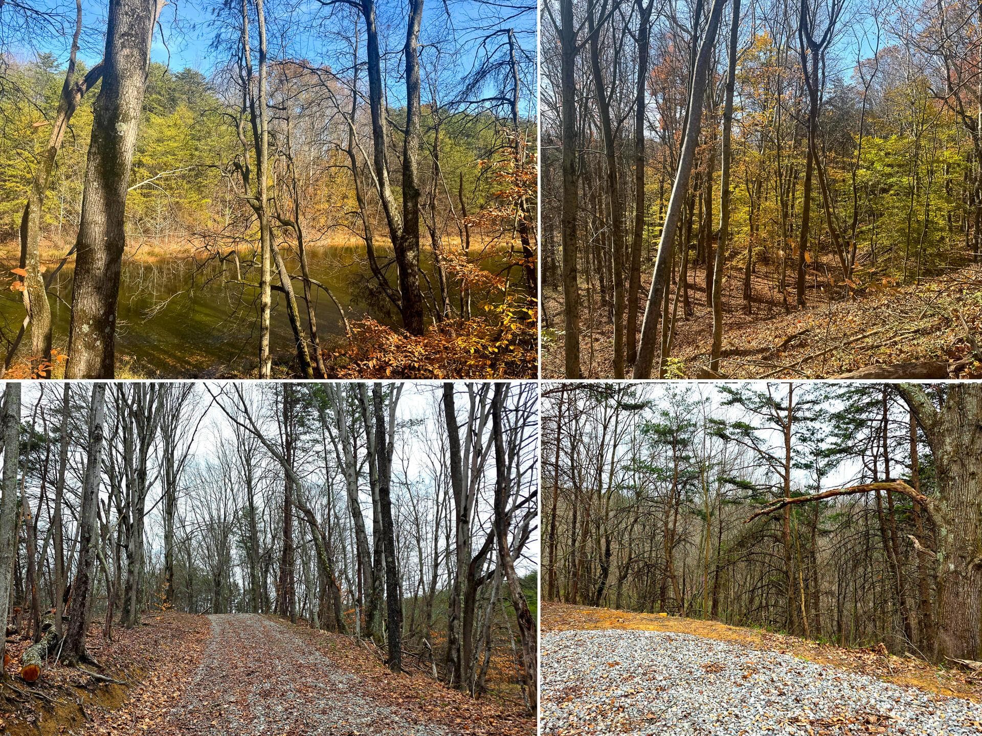 830 Nibert Road #(Ponds Poplar Ridge Tract 3), Gallipolis, OH 45631