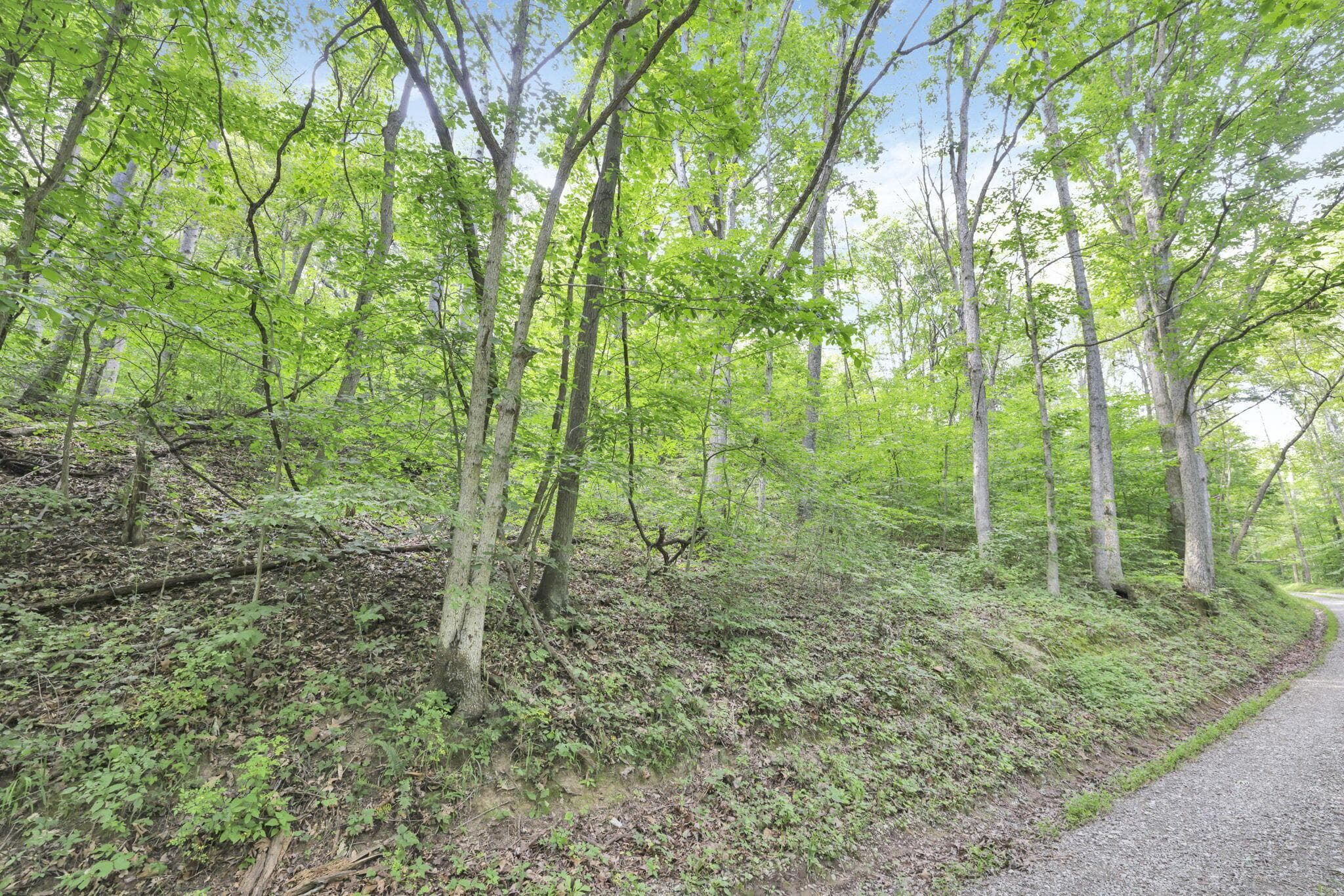 0 Lot #1 Thad Hall Road, Laurelville, OH 43135
