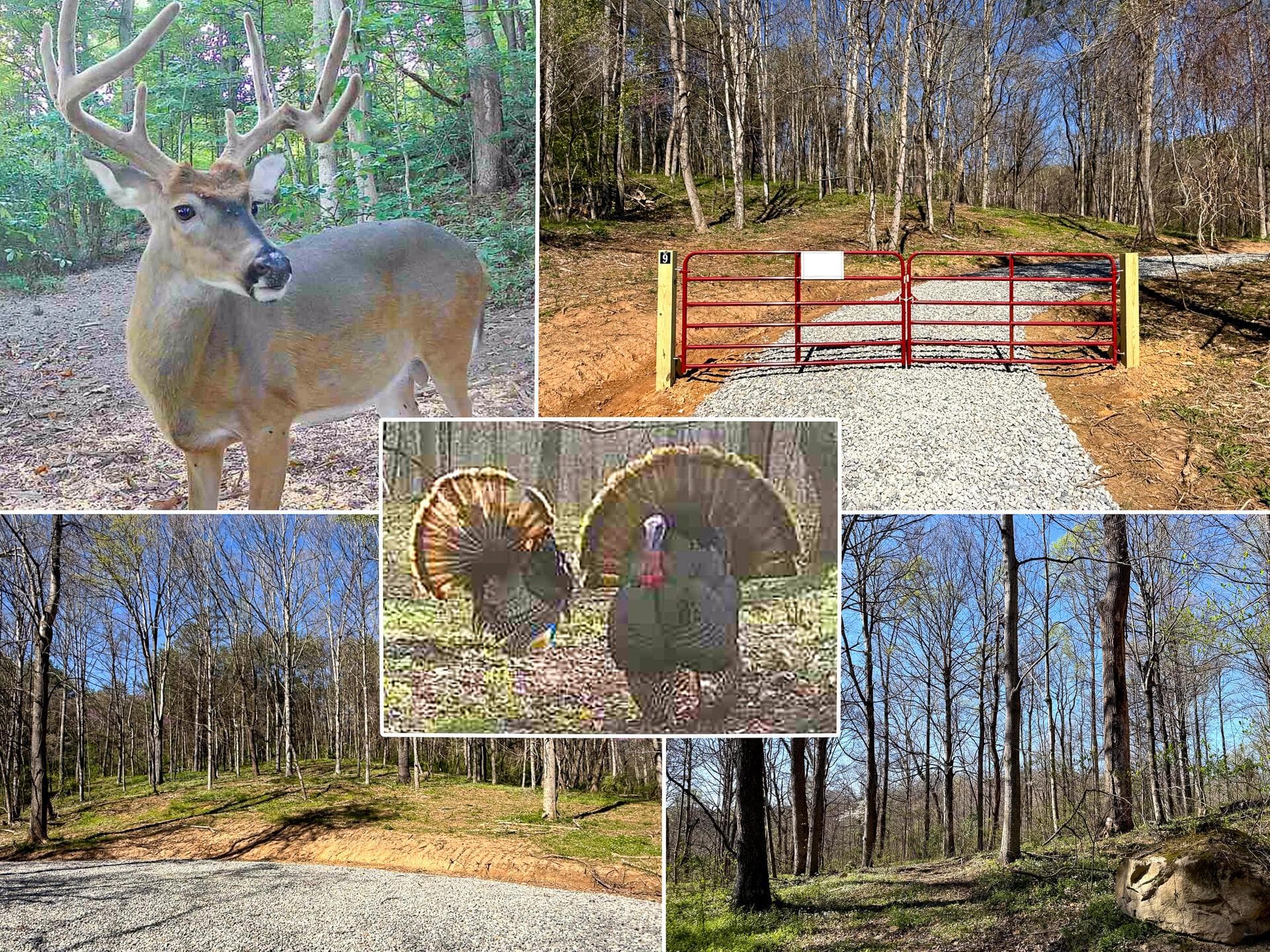 0 Little Kyger Road #(Little Kyger Tract 9), Cheshire, OH 45620