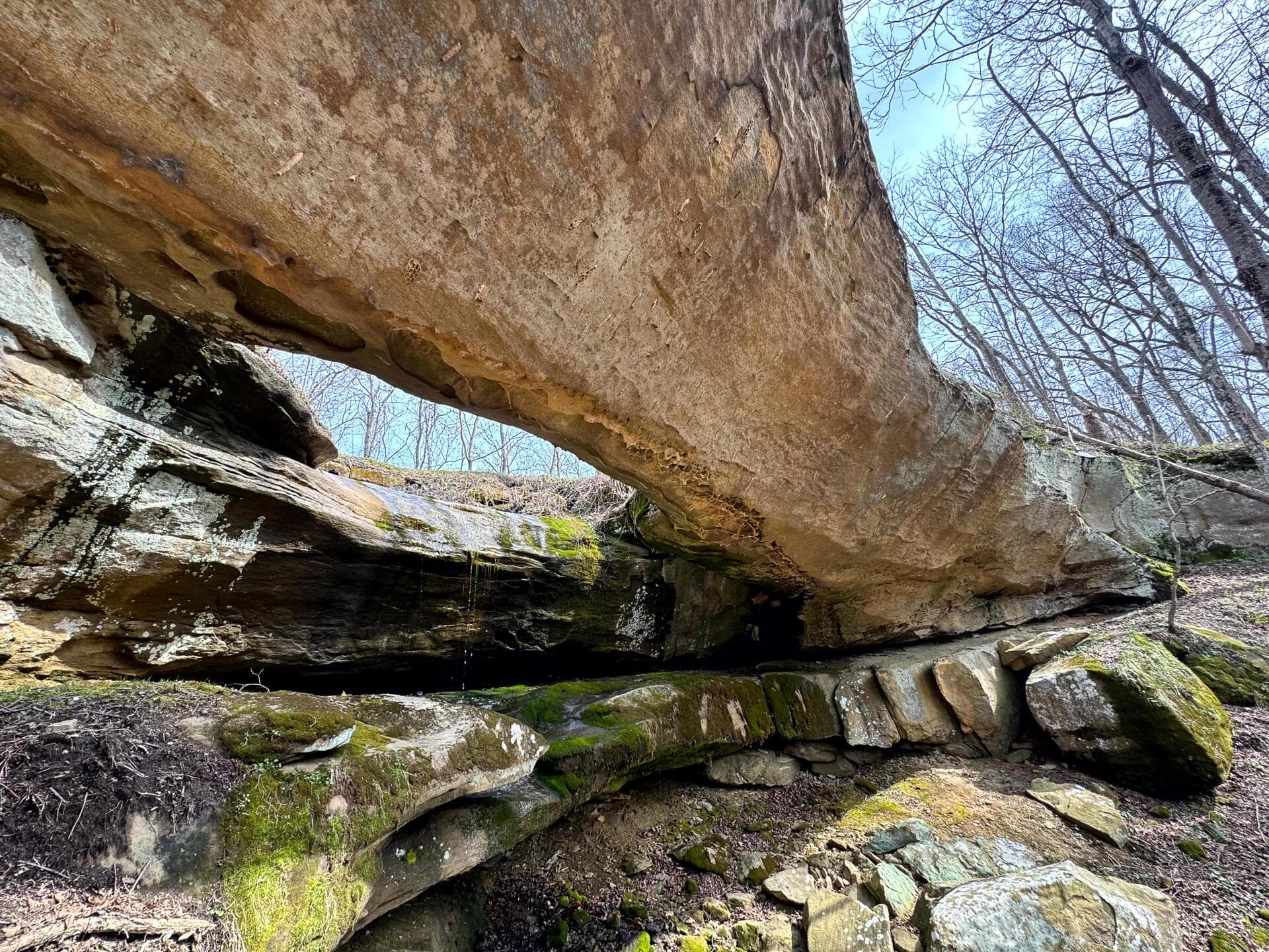 0 Remely Road #(Millstone Caves Tract 3), Cutler, OH 45724