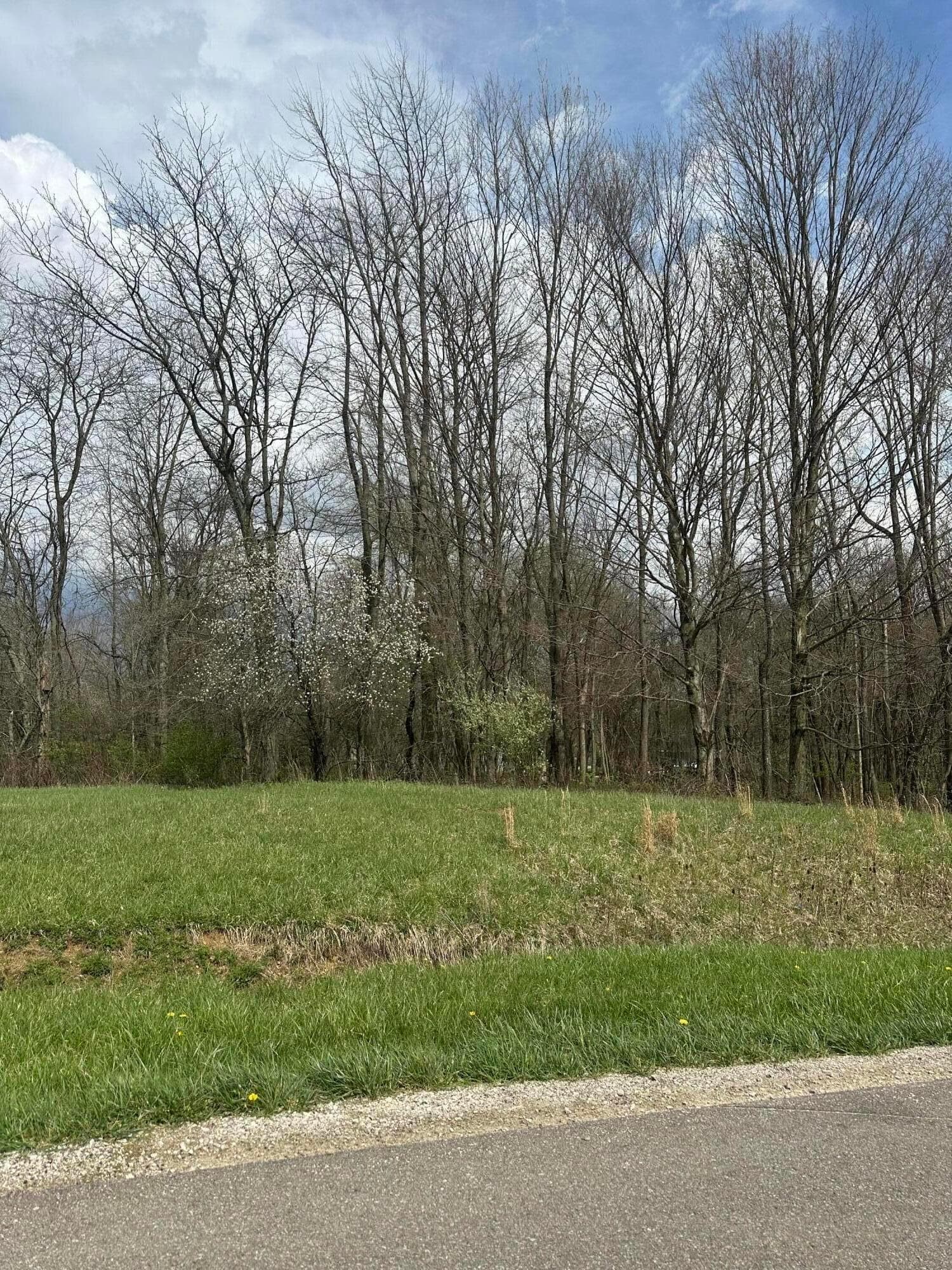 7326 State Route 19 #9 Lot 74, Mount Gilead, OH 43338