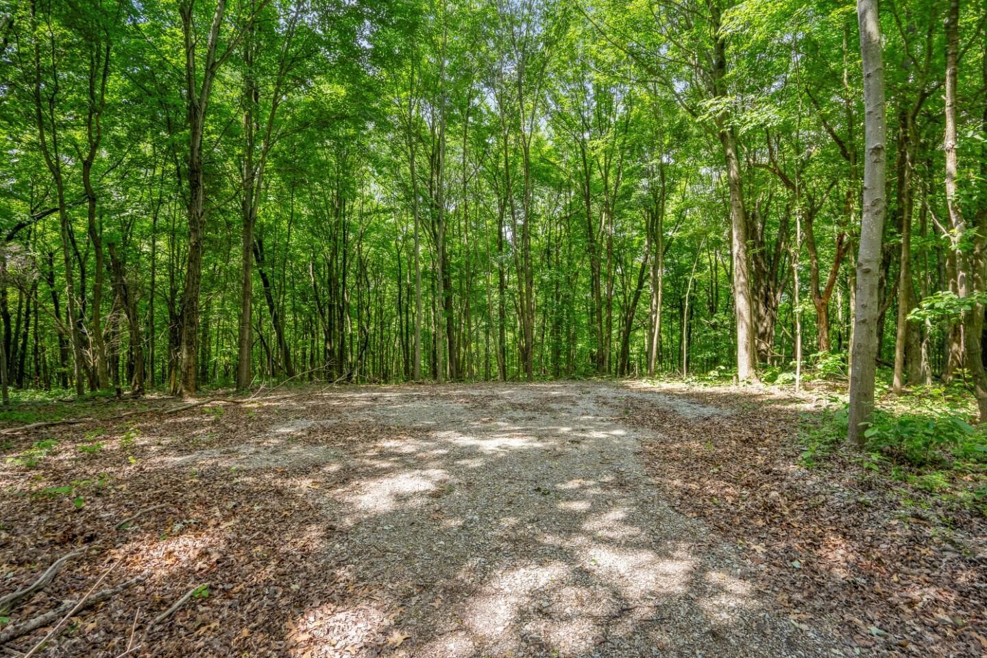 0 Potts Hill Road, Bainbridge, OH 45612