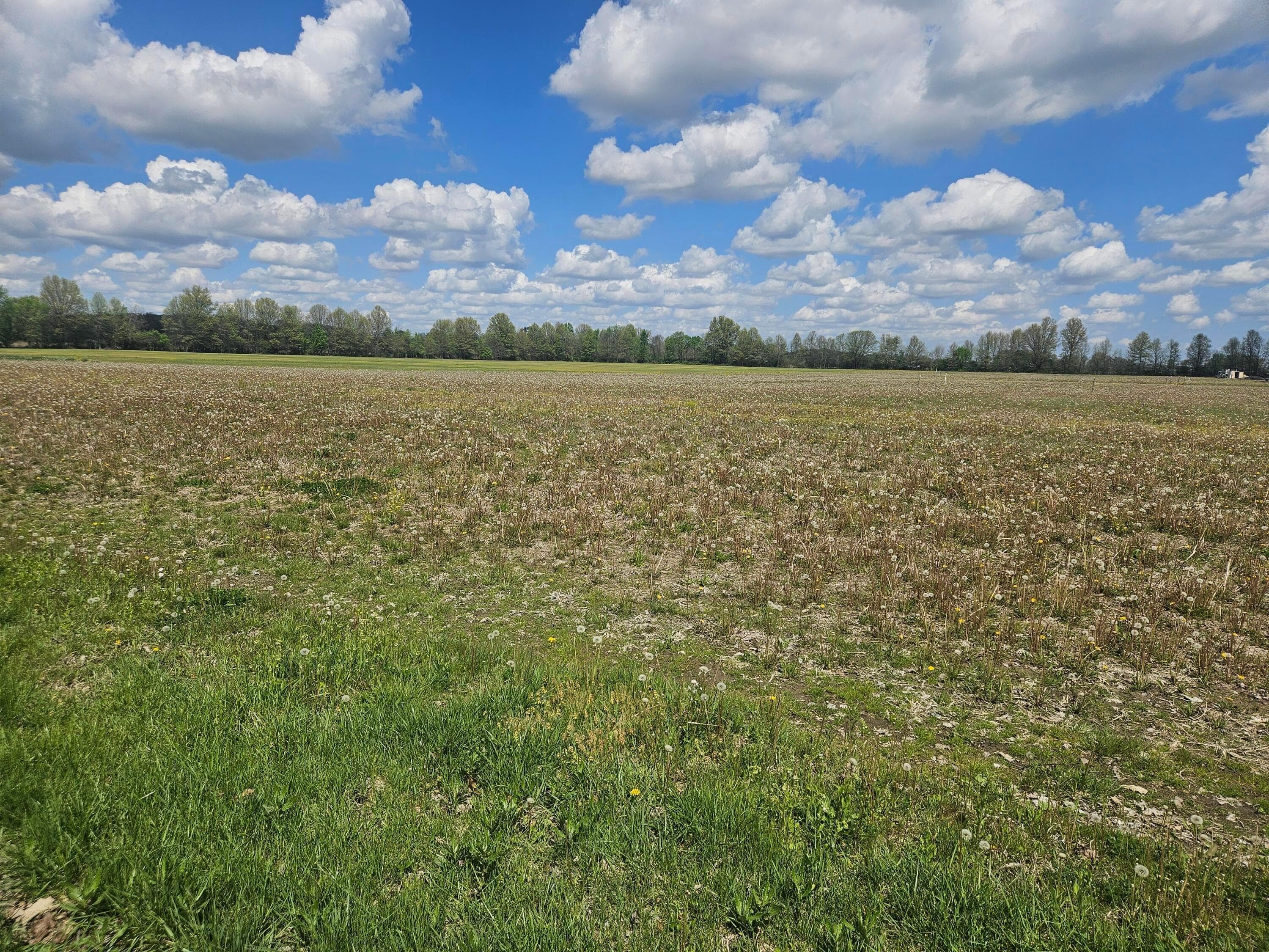 0 Ford Road #Tract 4, Delaware, OH 43015