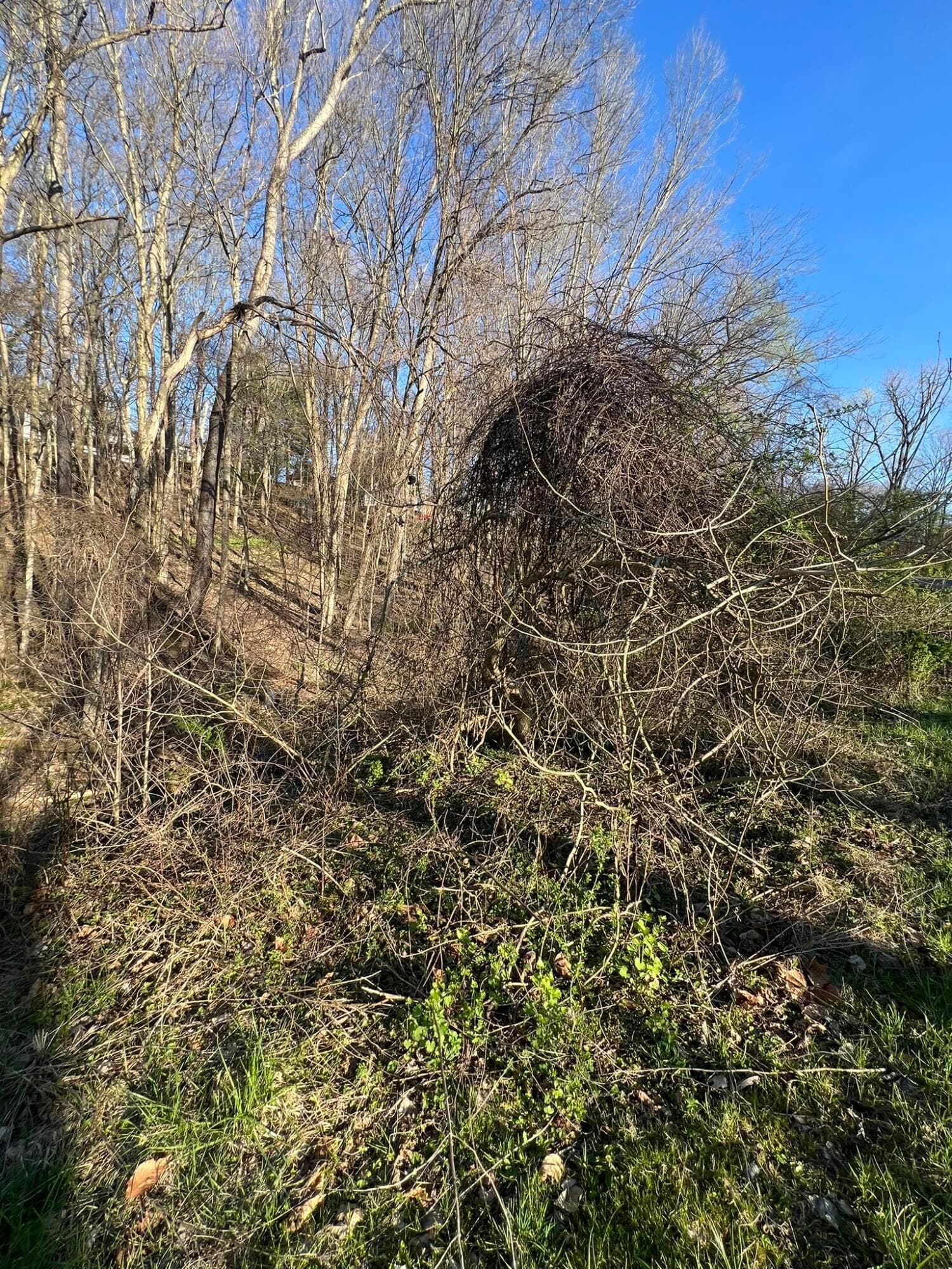 940 Mcintosh Drive, Newark, OH 43055