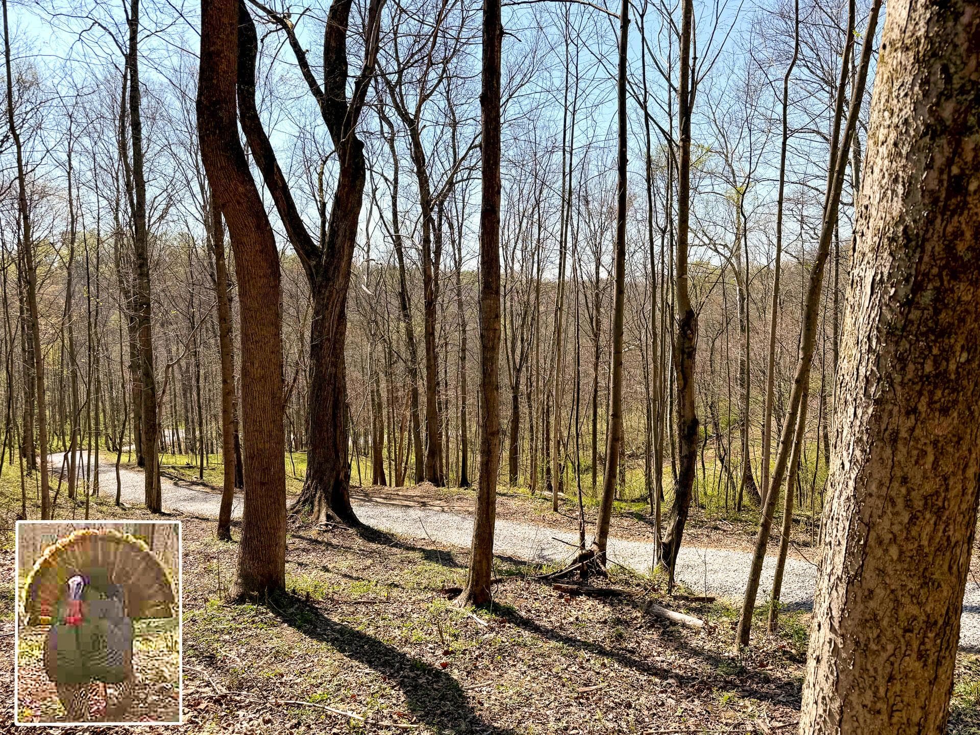 0 Little Kyger Road #(Little Kyger Tract 3), Cheshire, OH 45620