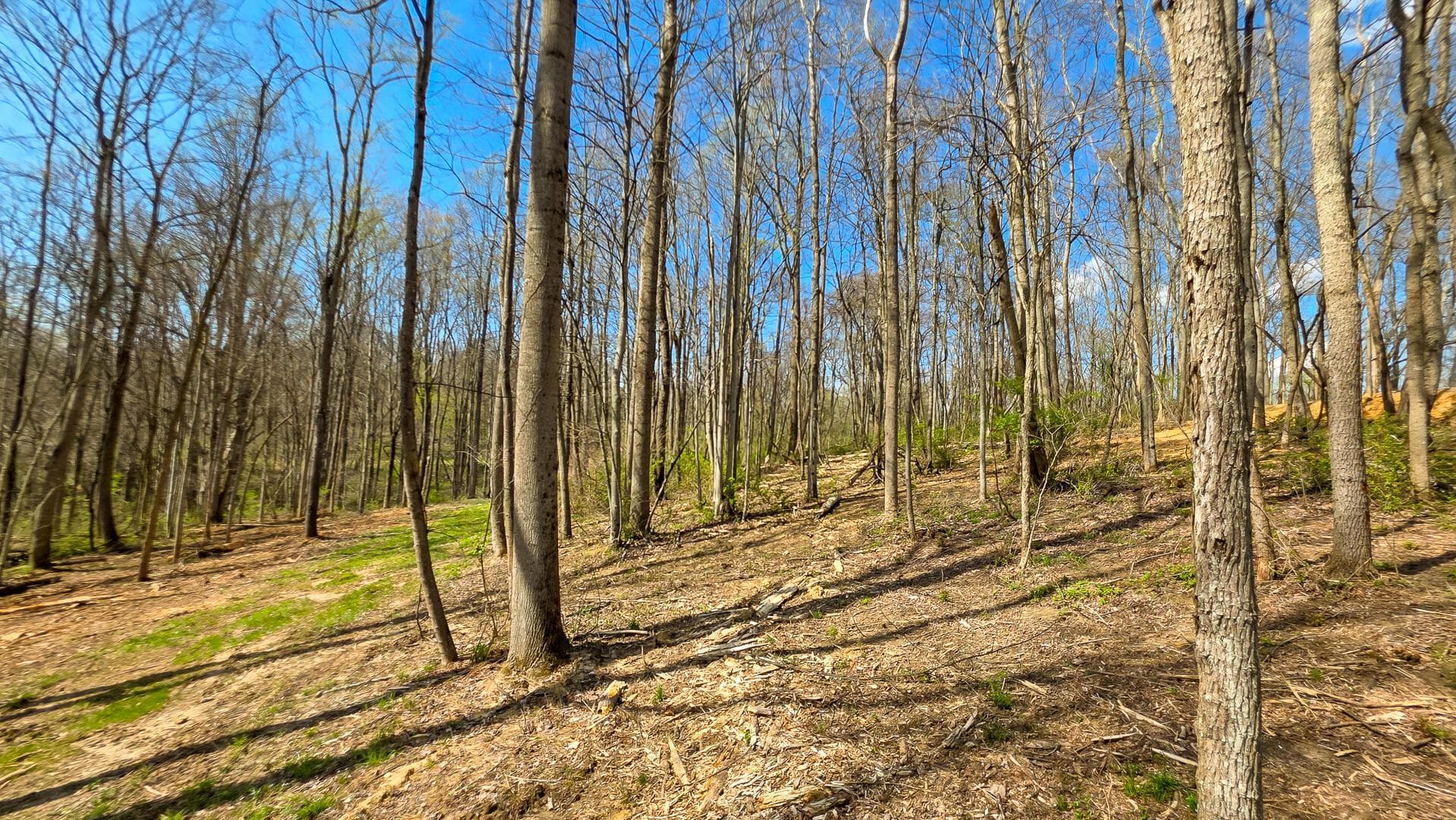 0 Dennis Road #(Tract 1 at Muskingum Woods), Zanesville, OH 43701