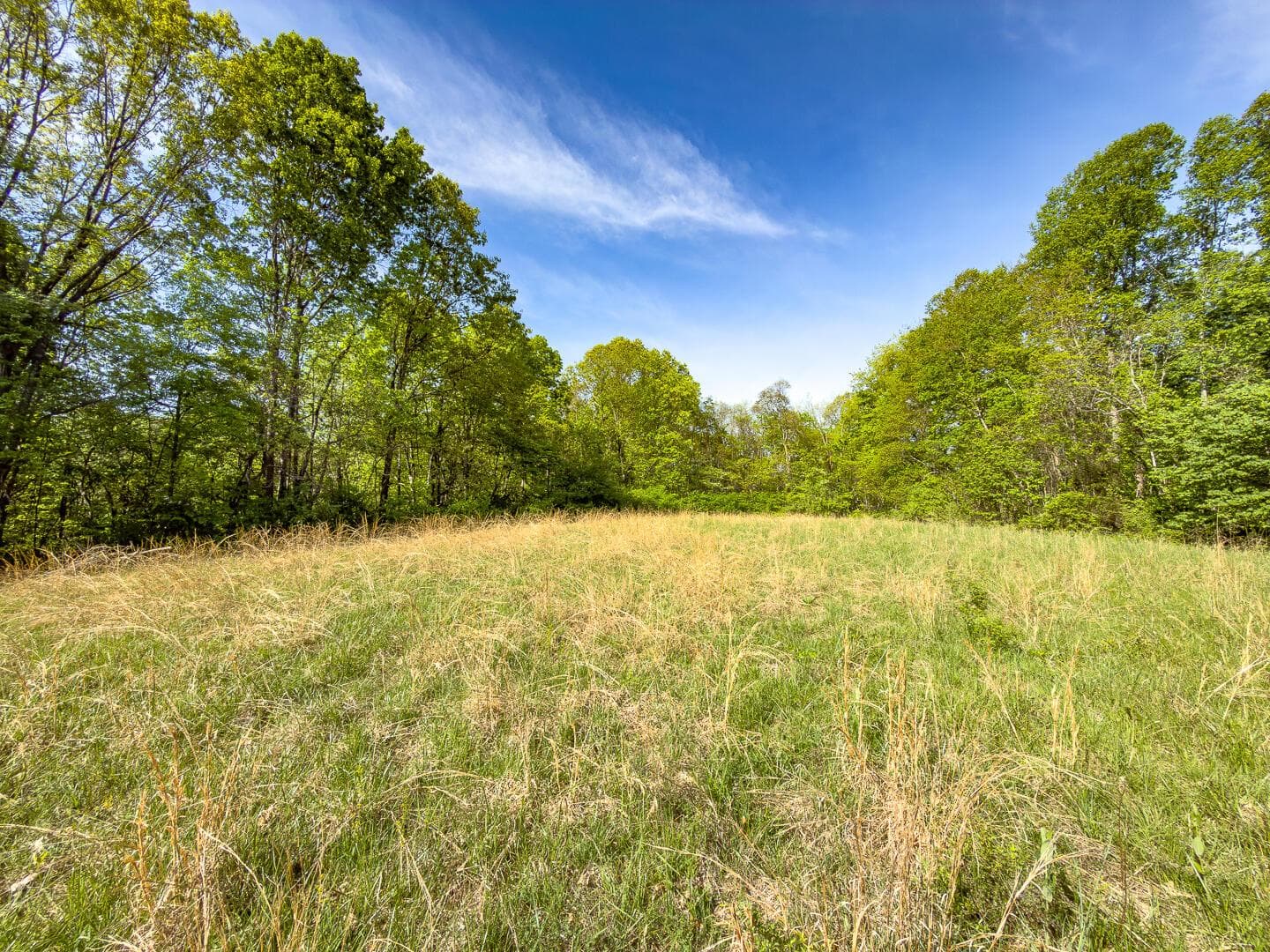Parcel 2 Perry Ridge Road, Wilkesville, OH 45695