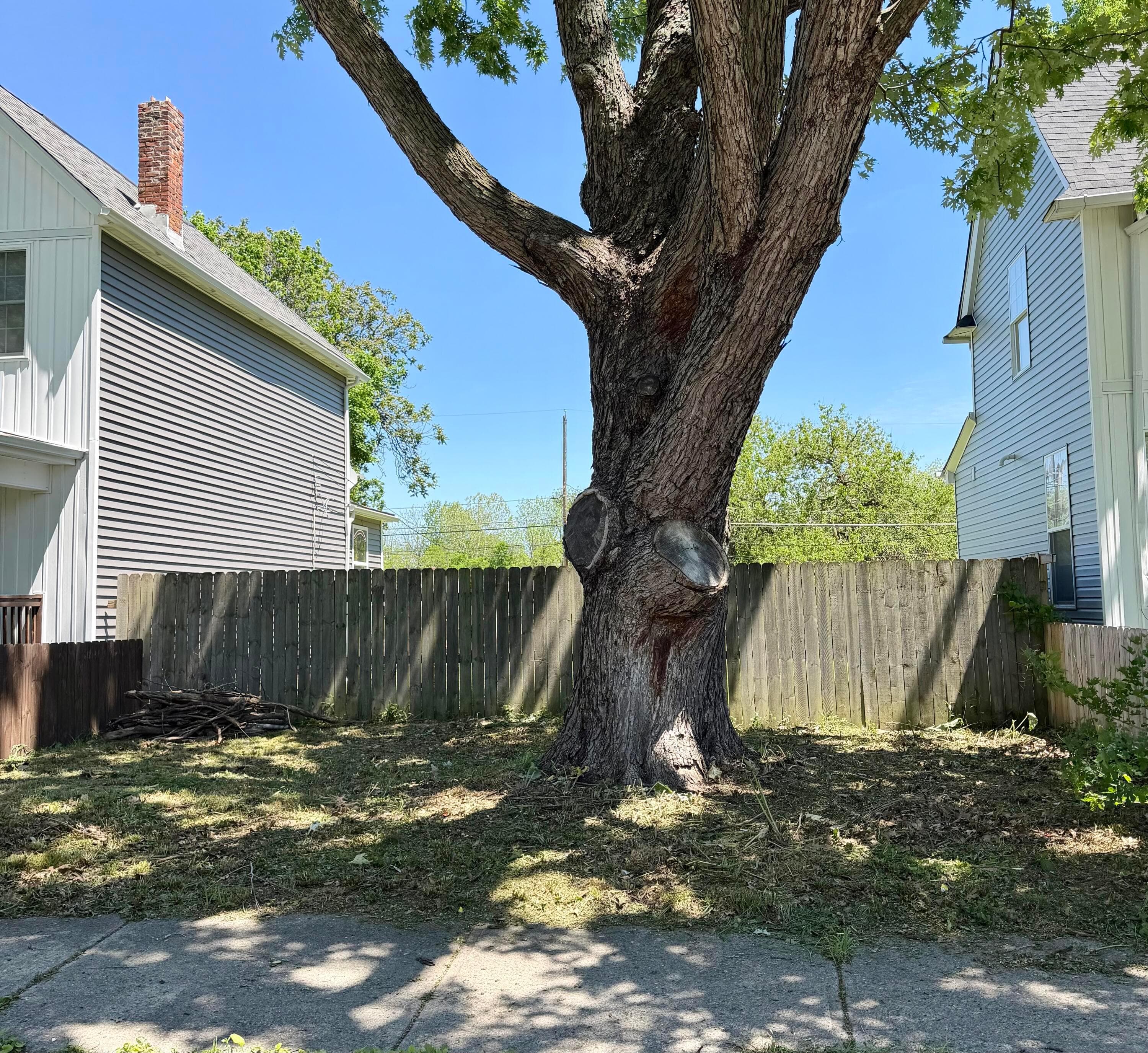 250 W Park Avenue, Columbus, OH 43223