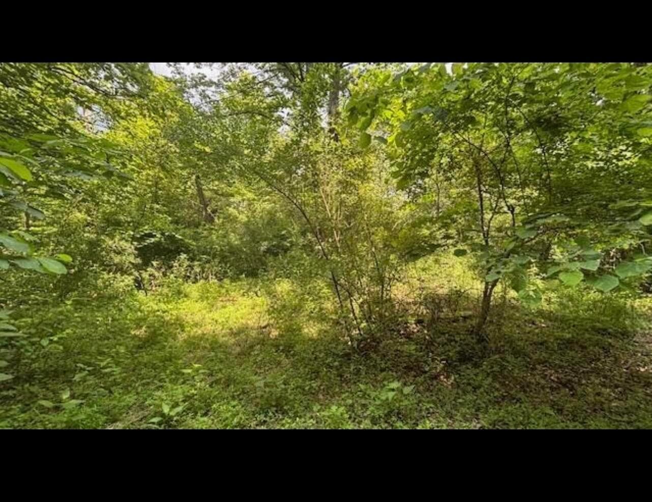14500 Wolfe Road, Amesville, OH 45711