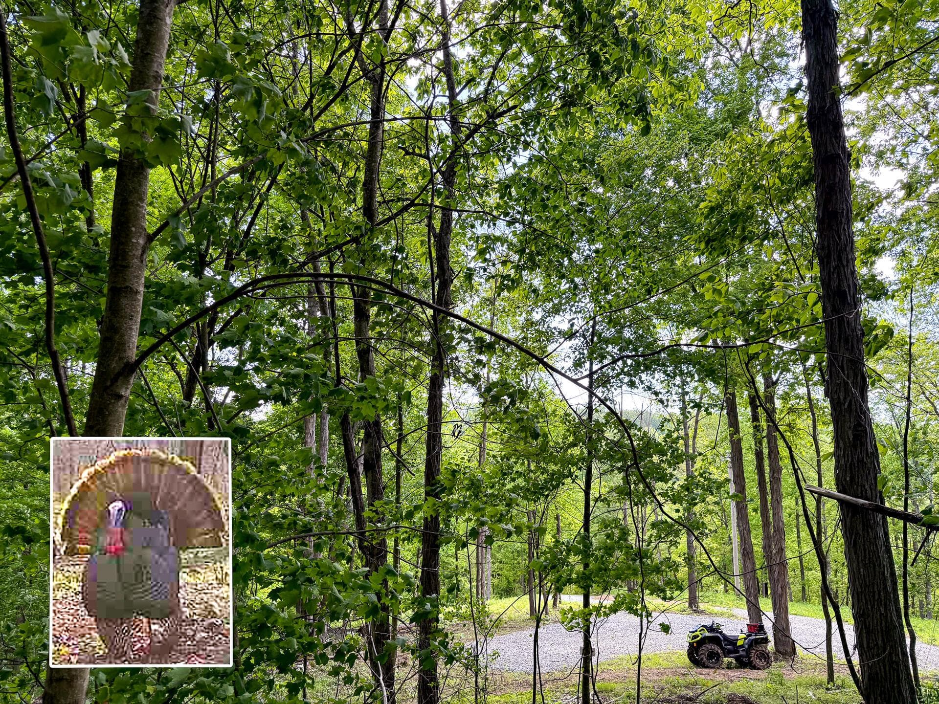 0 Little Kyger Road #(Little Kyger Tract 2), Cheshire, OH 45620
