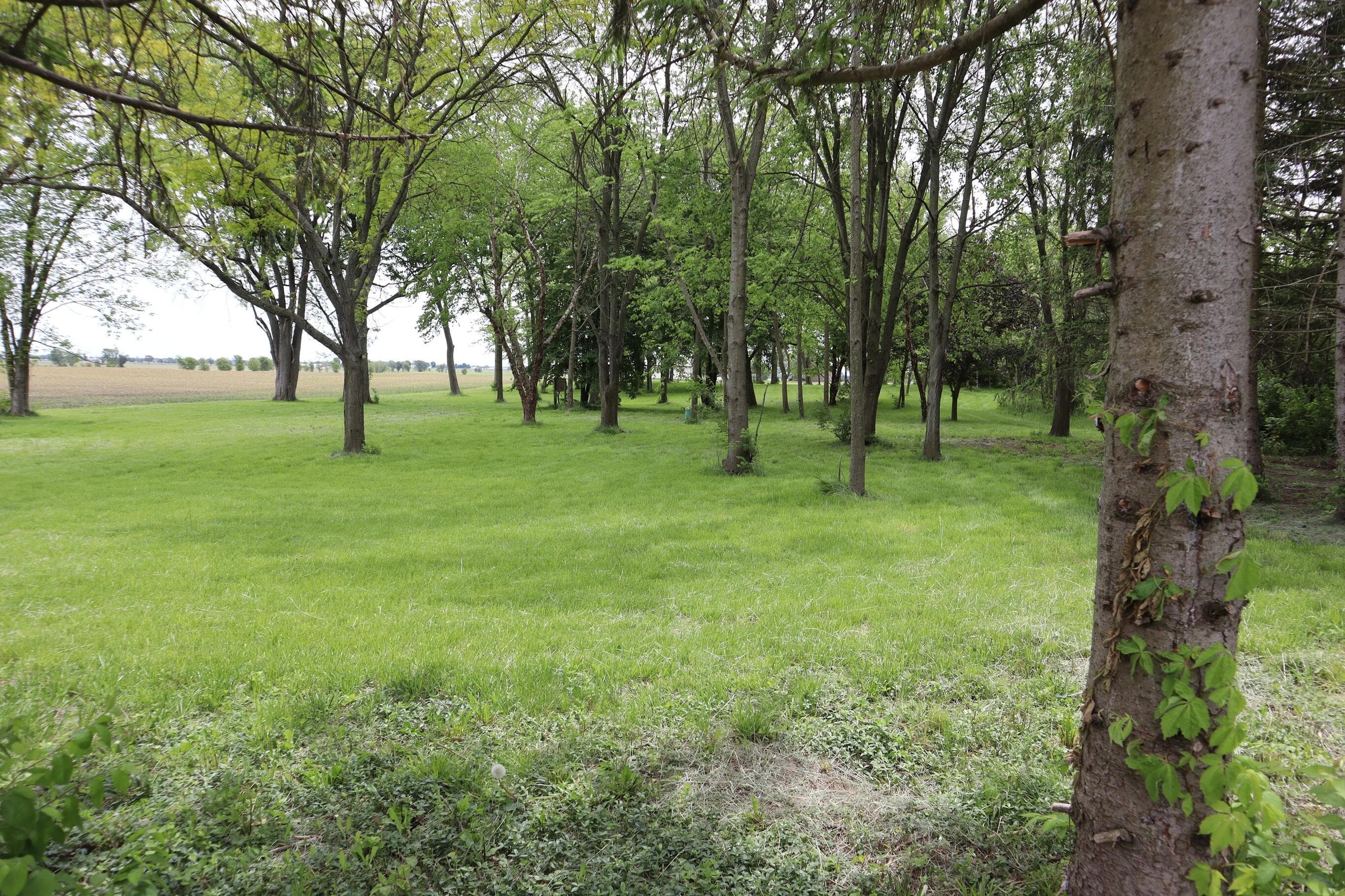 632 Thorpe Road, Sabina, OH 45169