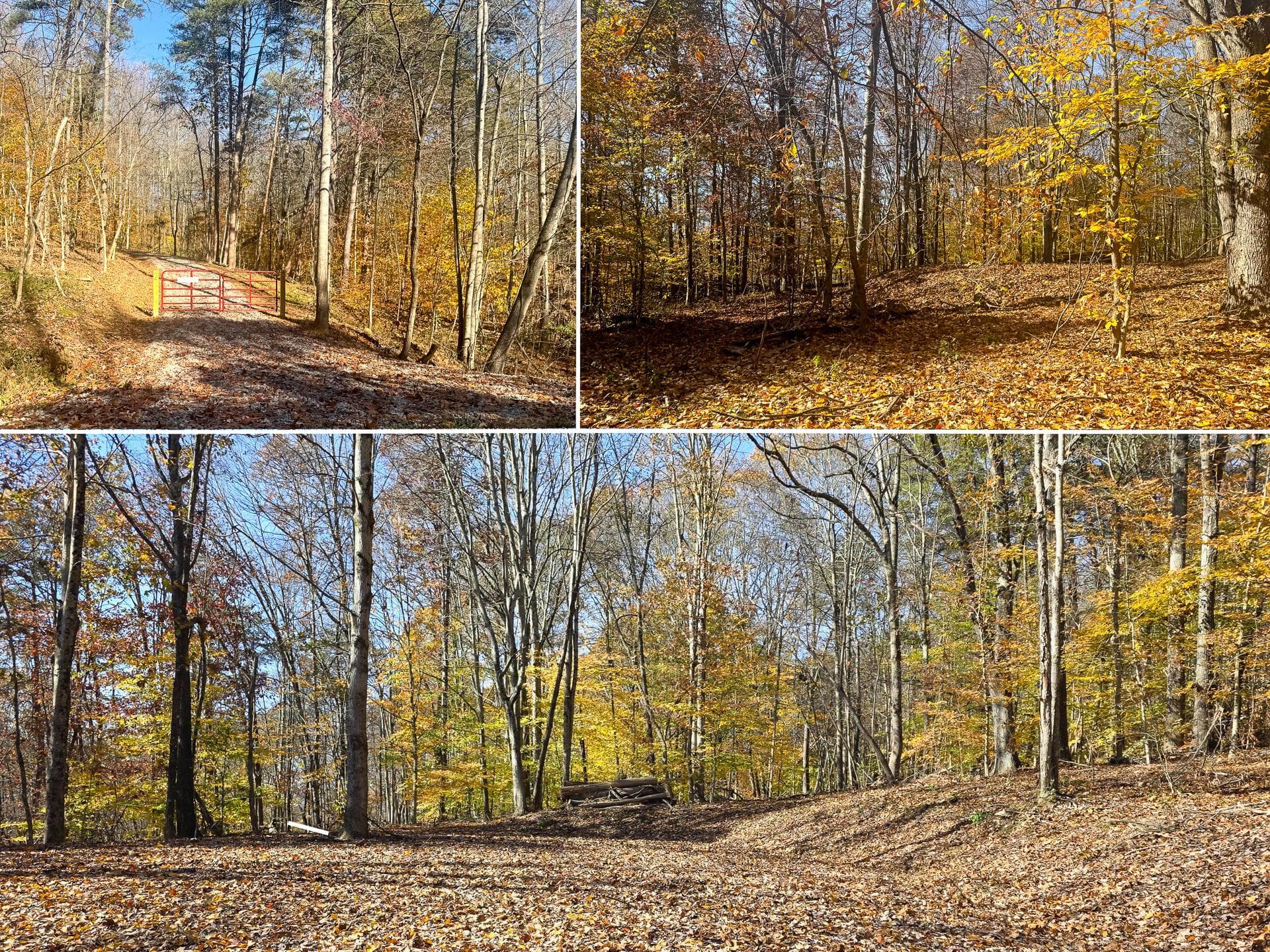 908 Nibert Road #(Ponds Poplar Ridge Tract 2), Gallipolis, OH 45631