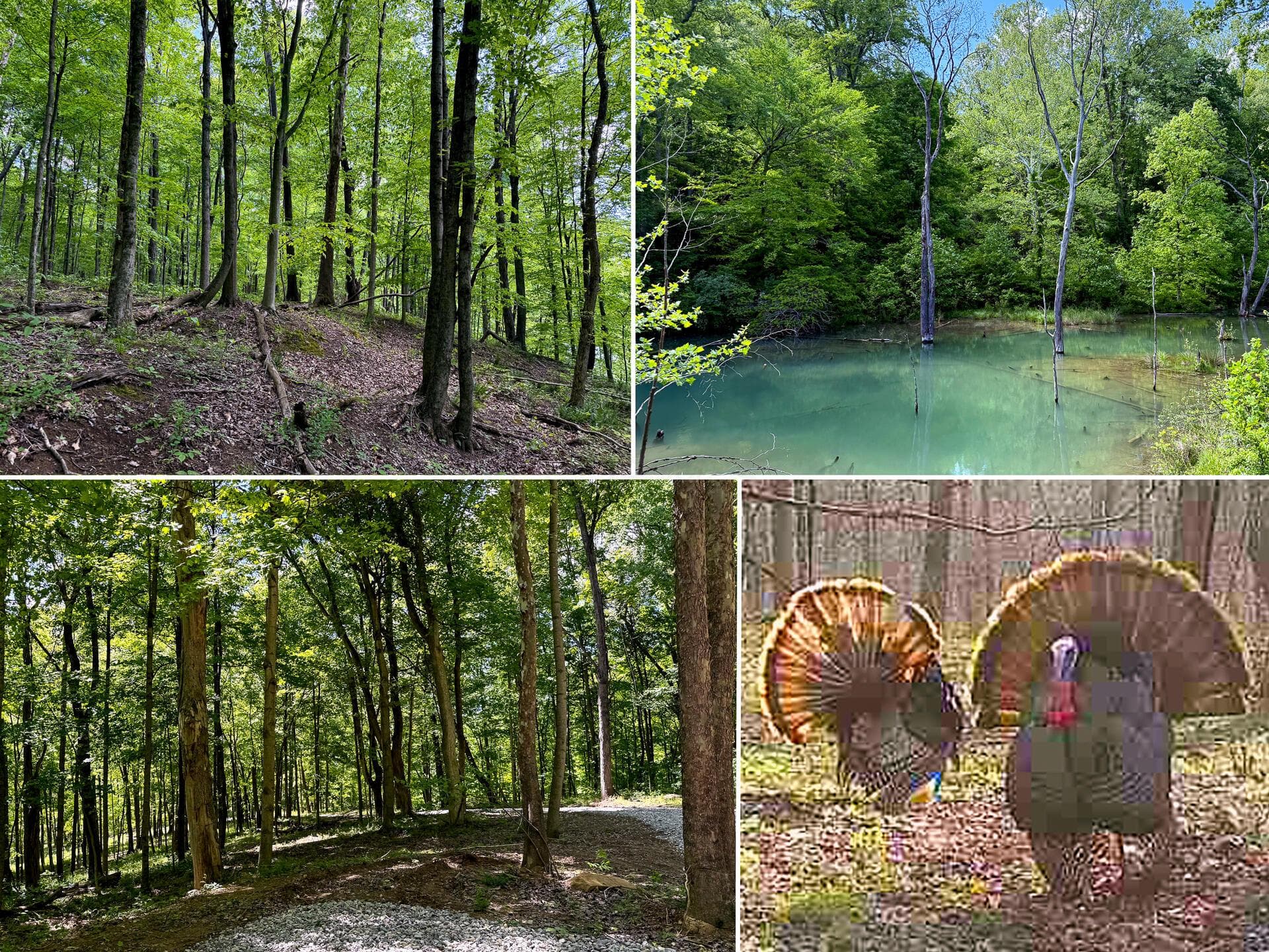 0 Little Kyger Road #(Little Kyger Tract 4), Cheshire, OH 45620