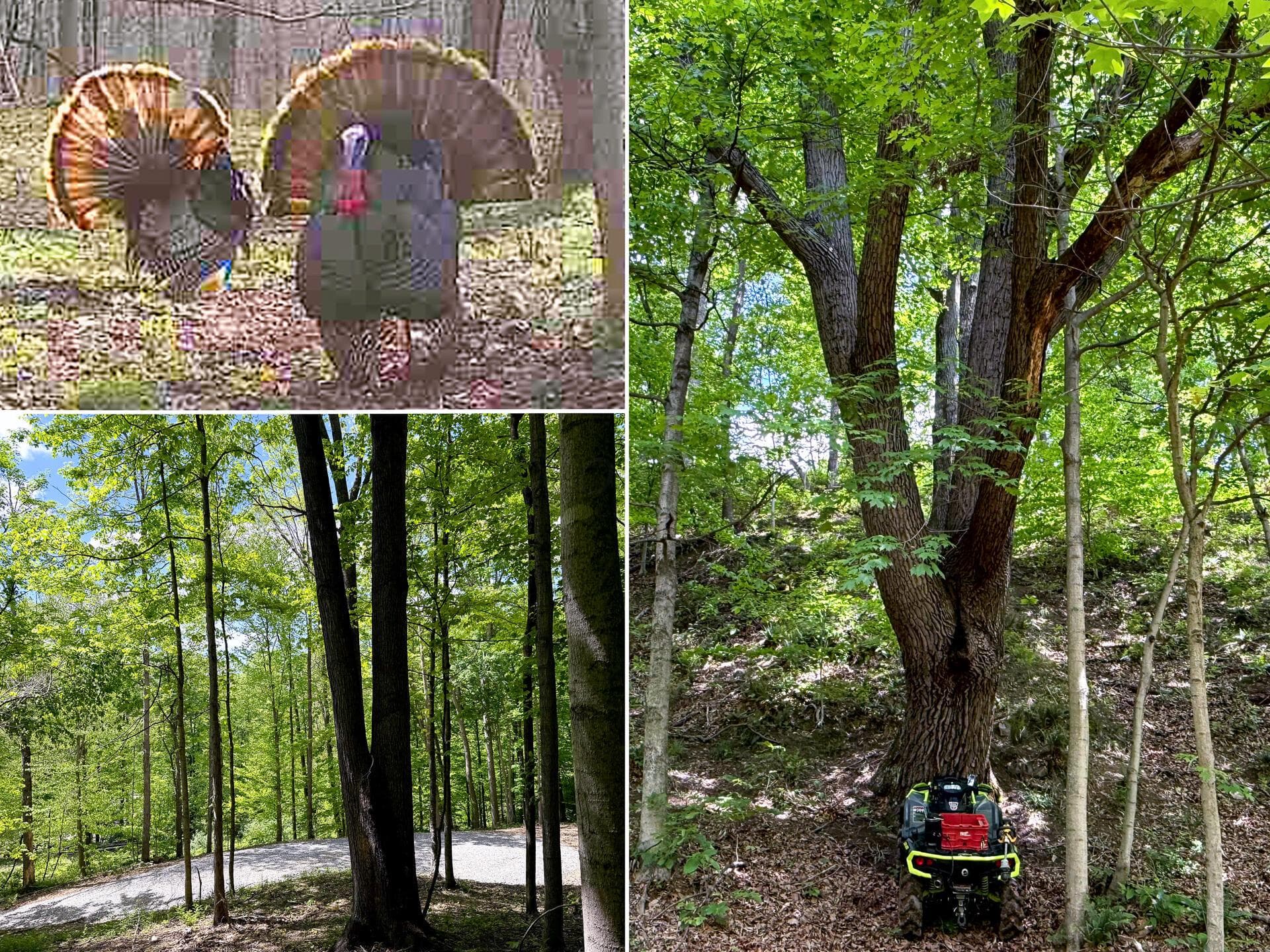 0 Little Kyger Road #(Little Kyger Tract 5), Cheshire, OH 45620