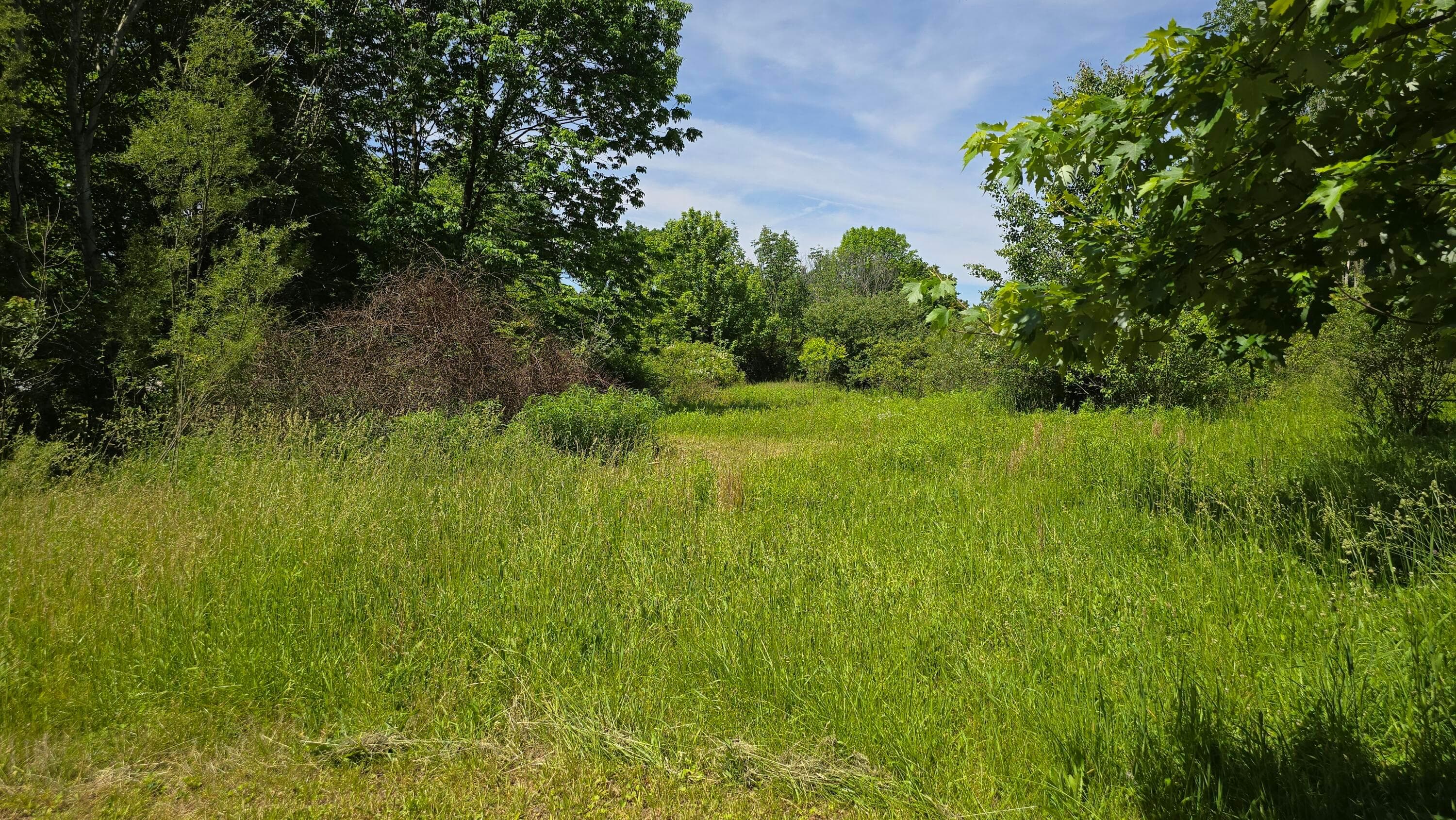186 Township Road 209, Marengo, OH 43334