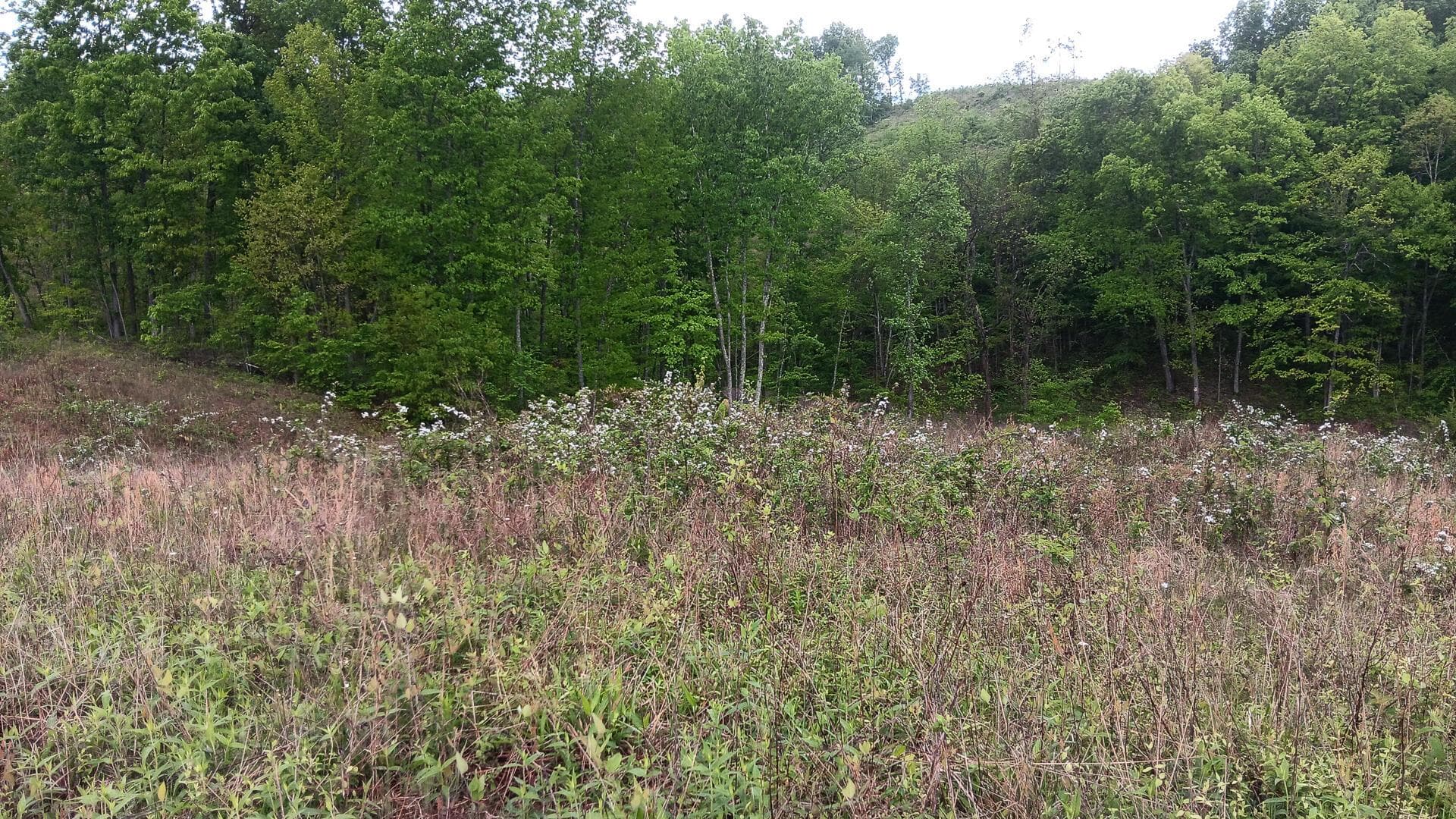 0 Hampton Hollow Road #(7 Acre Tract), Langsville, OH 45741