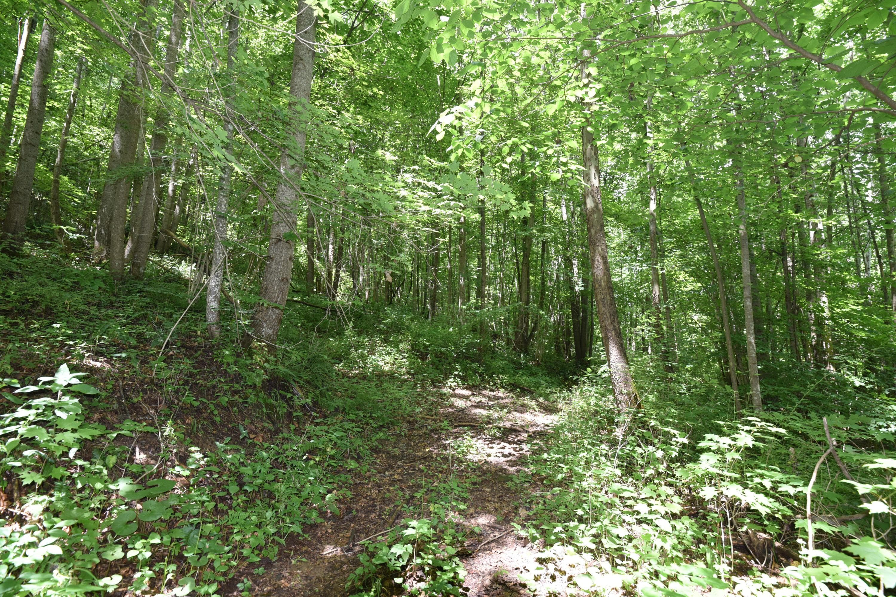 23769 State Route 327, Laurelville, OH 43135