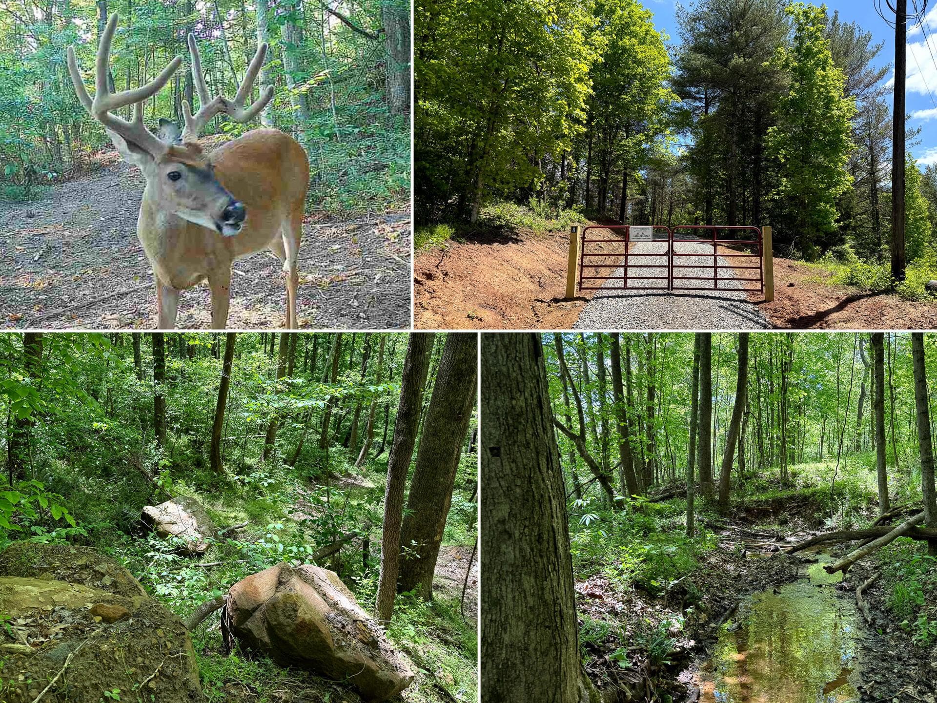 0 Little Kyger Road #(Little Kyger Tract 8), Cheshire, OH 45620