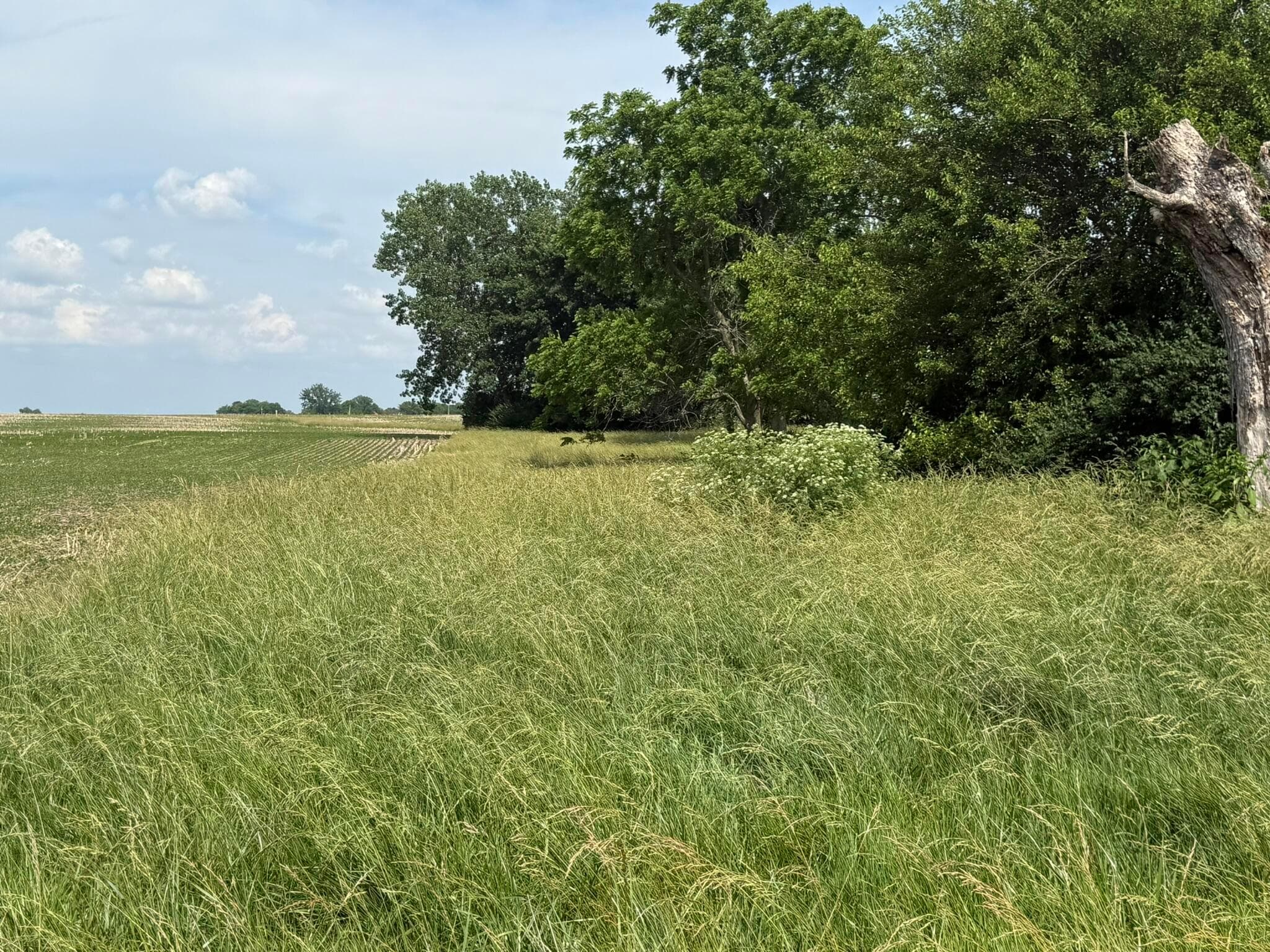 498 Junk Road, Clarksburg, OH 43115