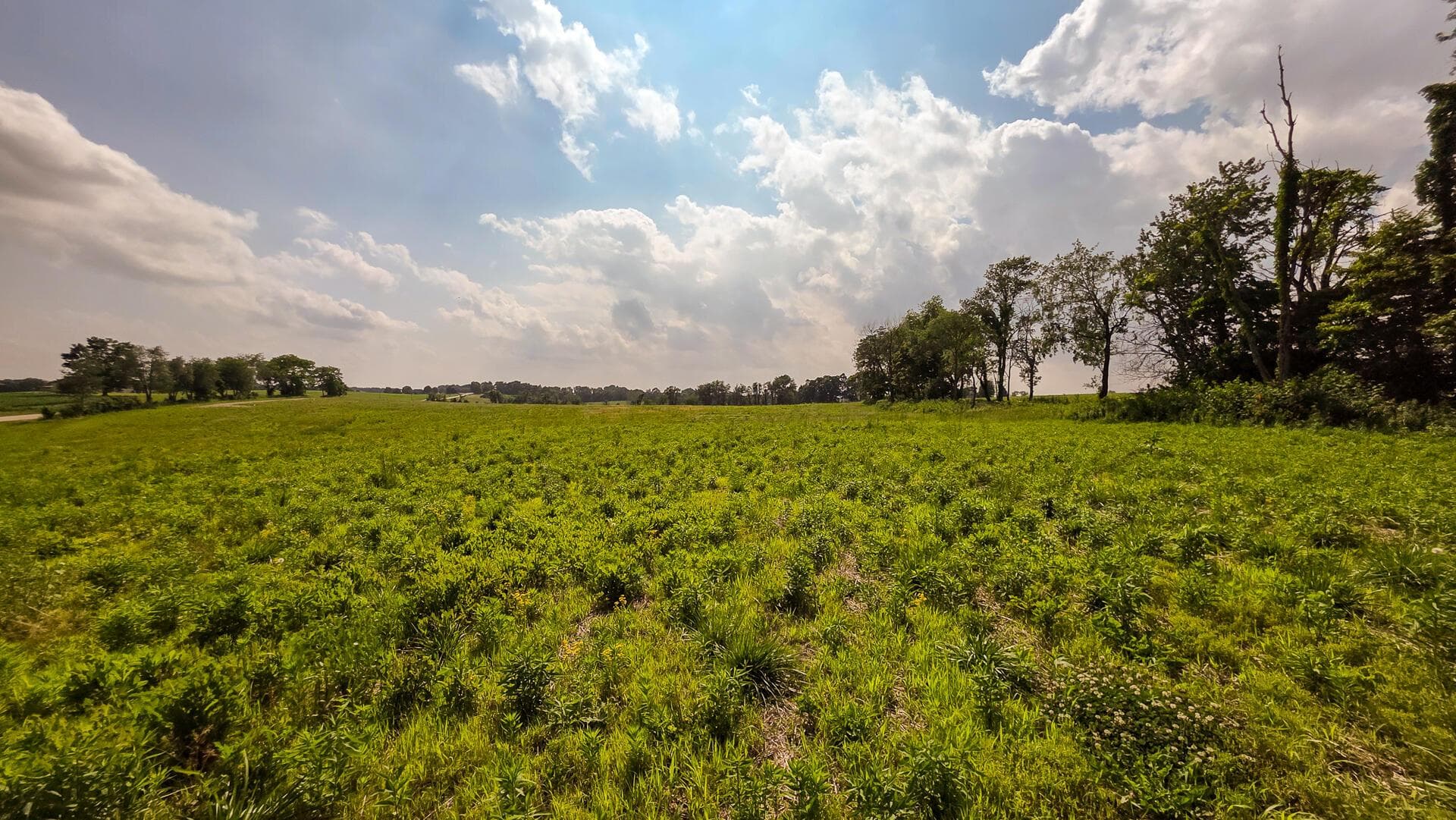 0 State Route 22 Road NW #Sheridan Estates (Tract 11), Somerset, OH 43783