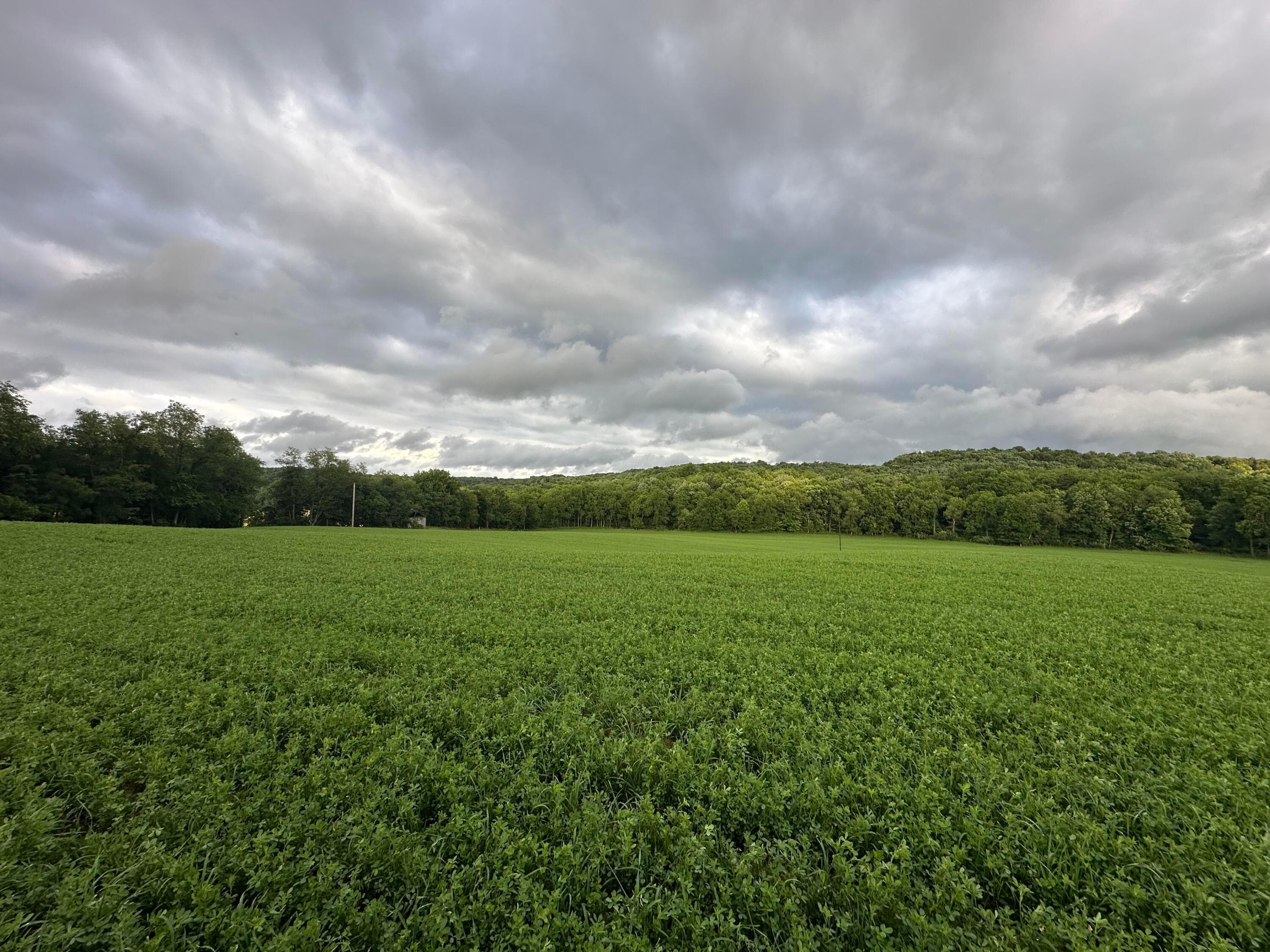 9164 Township Rd 51, Mount Perry, OH 43760